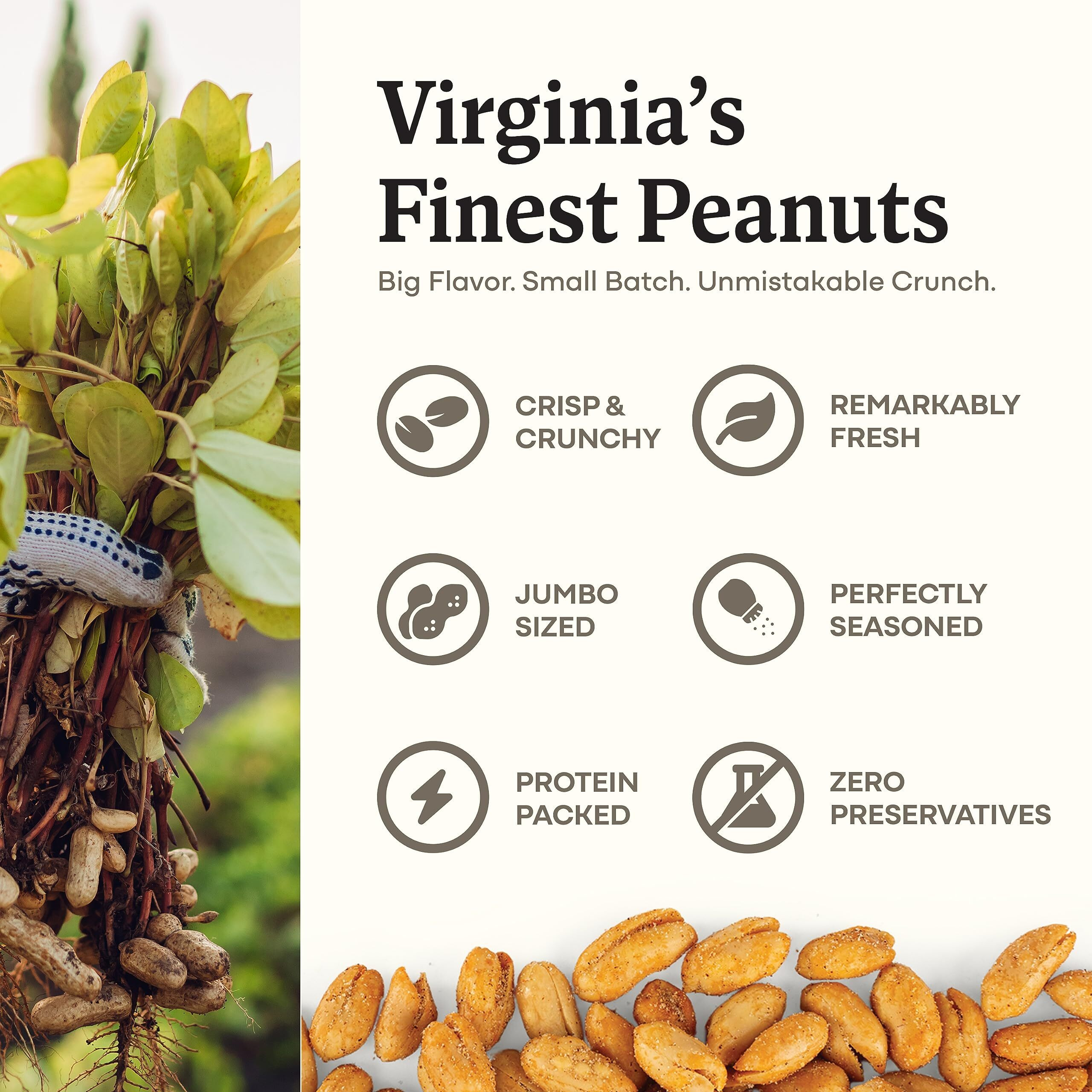 Belmont Peanuts Gourmet Chili Lime Virginia Peanuts, 20 Oz (1 Pack) - Simple Ingredients, No Preservatives, 7G Protein - A Premium, Citrusy, Spicy, Salty, Crunchy, Hand Seasoned Snack