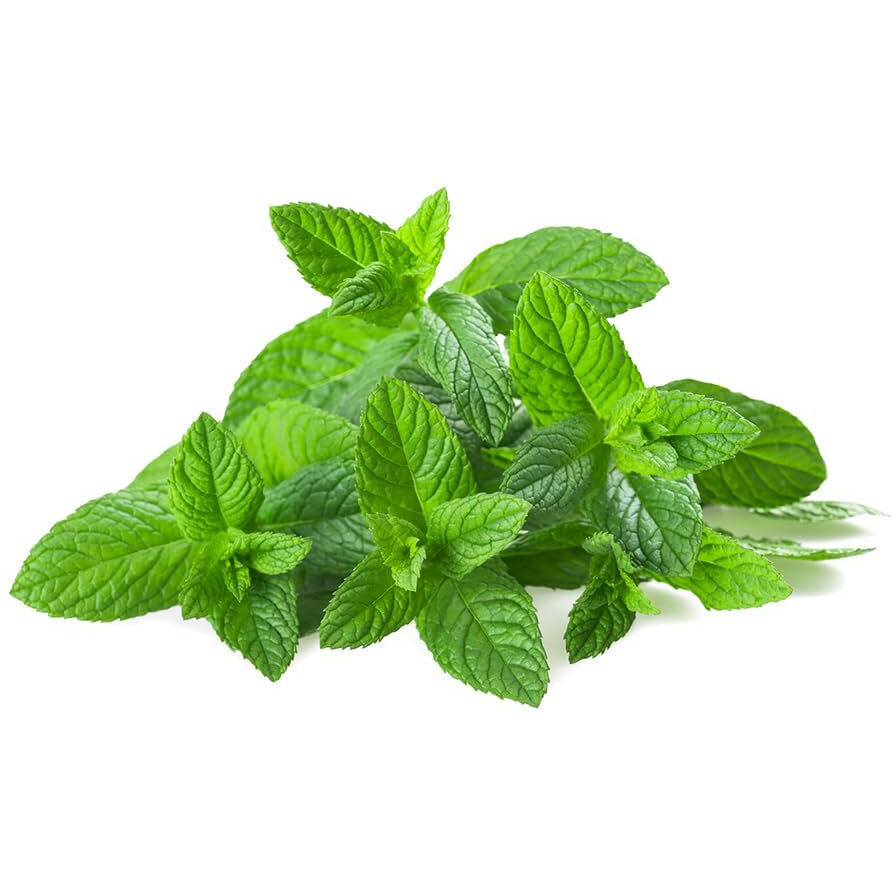 Olivenation Peppermint Extract - 8 Ounces - Cool And Refreshing - Baking-Extracts-And-Flavorings