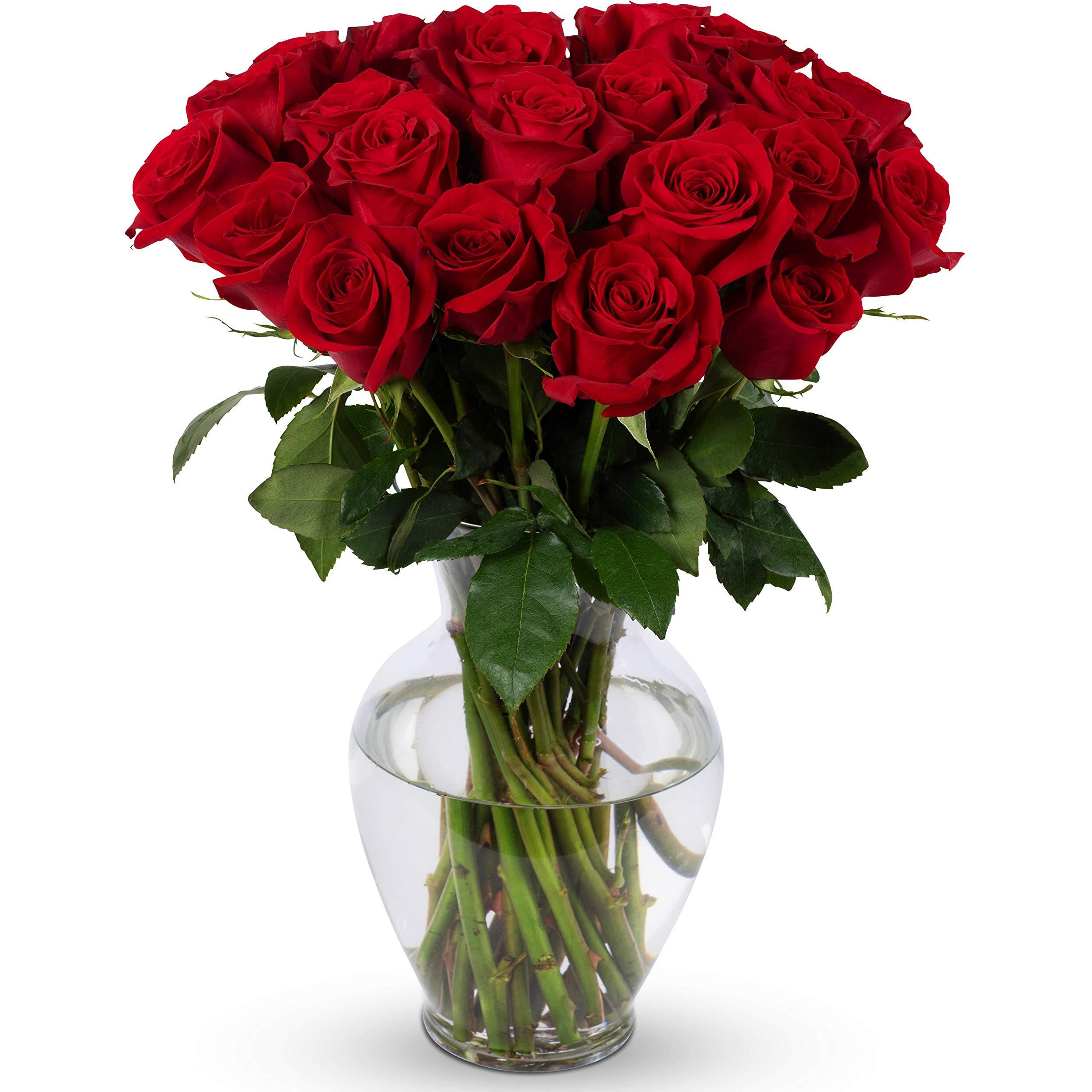 Benchmark Bouquets, 24 Stem Red Roses, Glass Vase Included, Gift Fresh Flowers For Birthday, Anniversary, Get Well, Sympathy, Congratulations, Thank You, Just Because