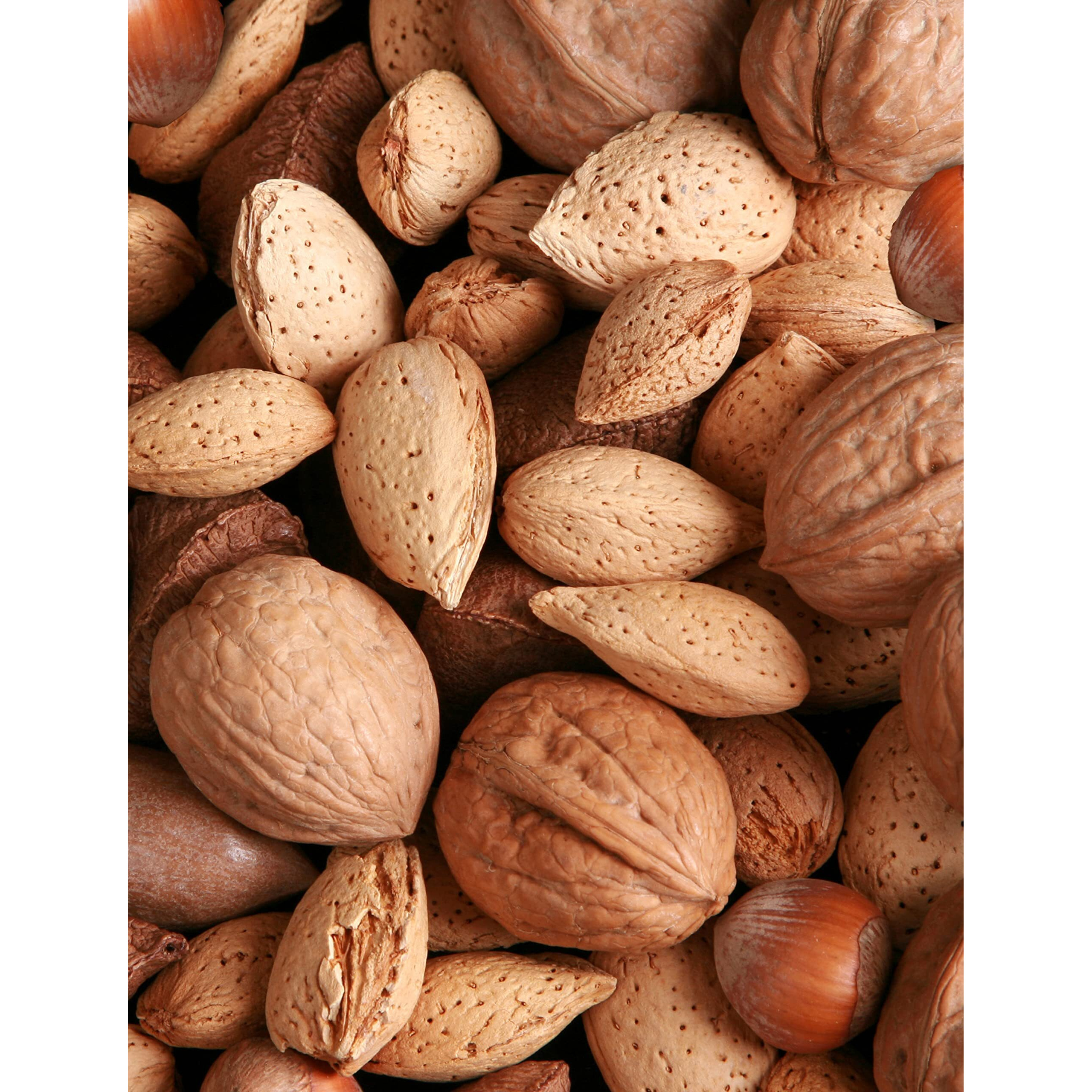 Anna And Sarah Premium Mixed Nuts In Shell, 4 Pound Bag, California Jumbo Chandler Walnuts, Georgia Extra Large Pecans, California Almonds, Large Oregon Hazelnuts In Resealable Bag, 4 Lbs
