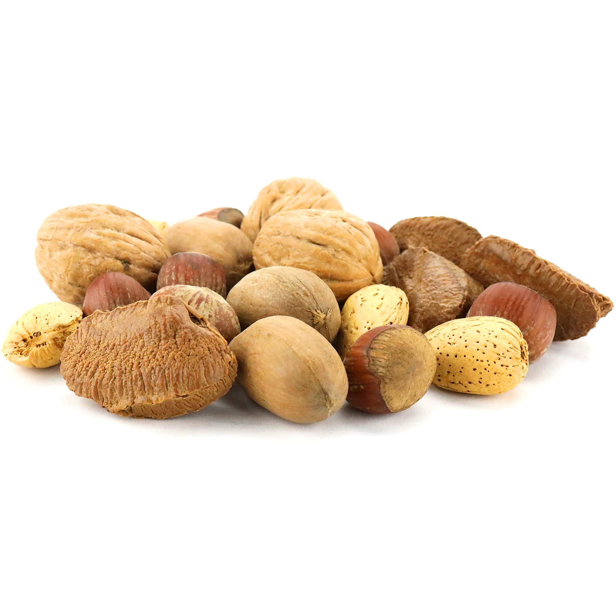 Anna And Sarah Premium Mixed Nuts In Shell, 4 Pound Bag, California Jumbo Chandler Walnuts, Georgia Extra Large Pecans, California Almonds, Large Oregon Hazelnuts In Resealable Bag, 4 Lbs