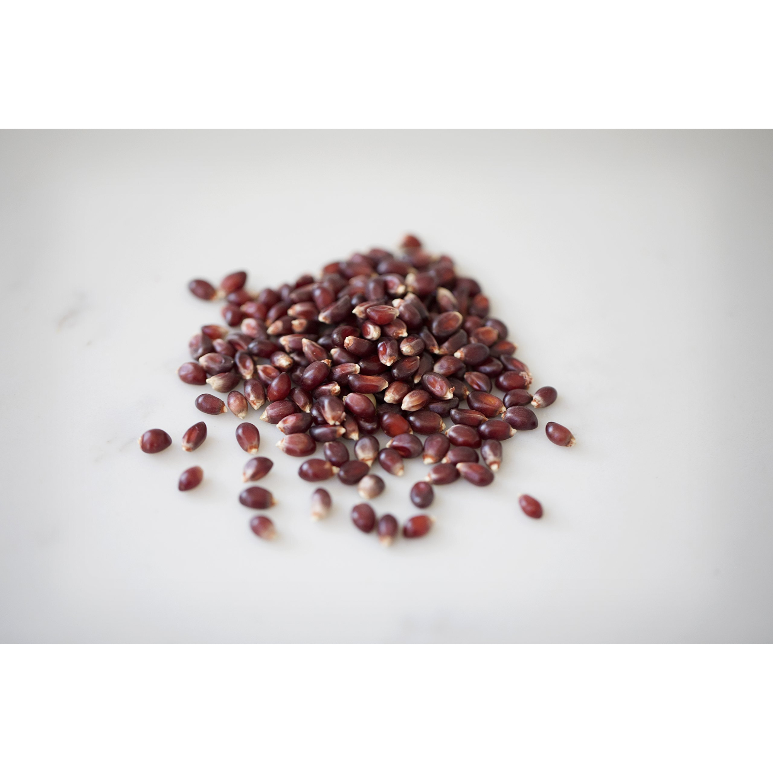 Amish Country Popcorn | 25 Lbs Bag | Red Popcorn Kernels | Old Fashioned, Non-Gmo And Gluten Free (Red - 25 Lbs Bag)