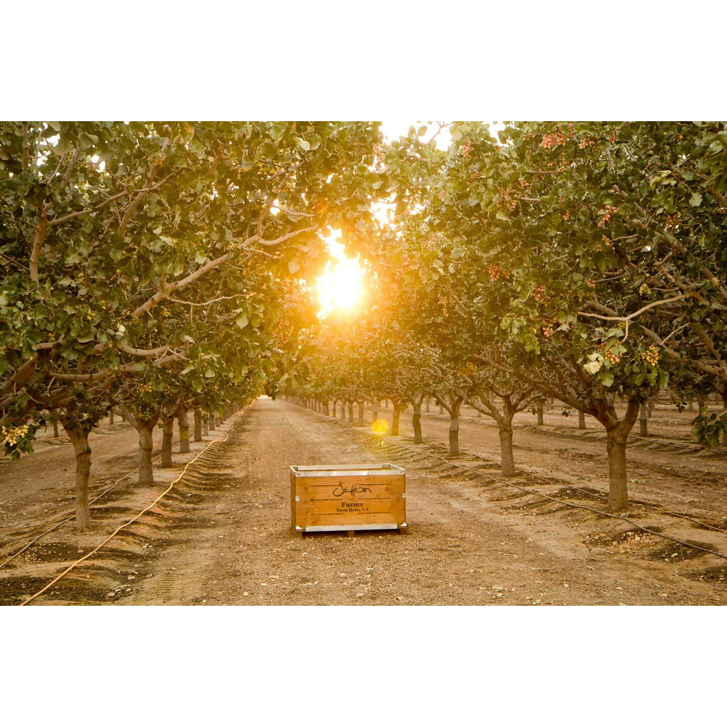 Setton Farms Pistachio Pub Mix 5 Oz. Bag. With Buffalo Wing Pistachios, Ranch Corn Nuts, Honey Roasted Sesame Chips And Hickory Almonds.