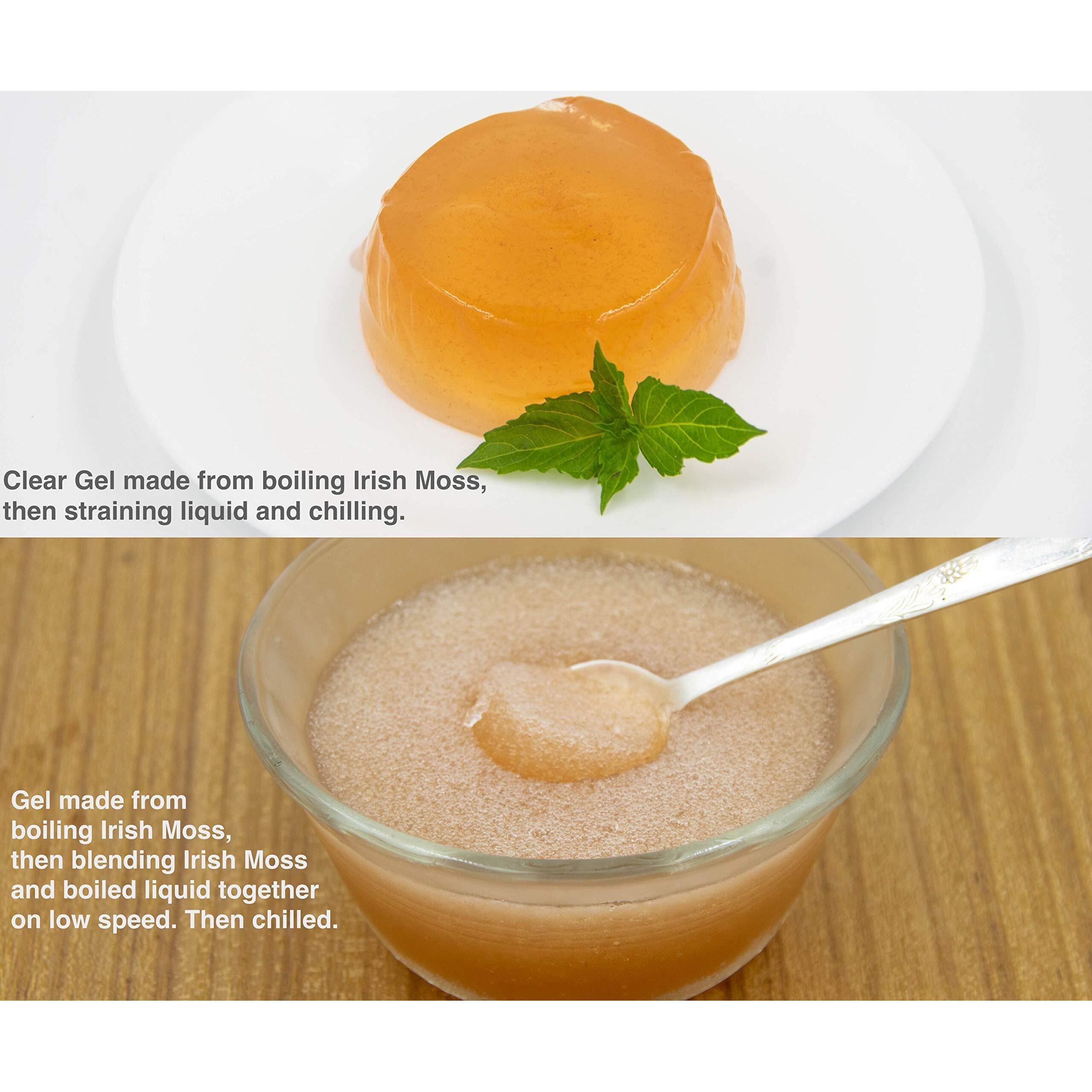 Dried Sea Moss (8 Oz (Pack Of One) - Caribbean Superfood - Wildcrafted Seedstock - Ethically Harvested - Makes Over 5 Quarts Gel