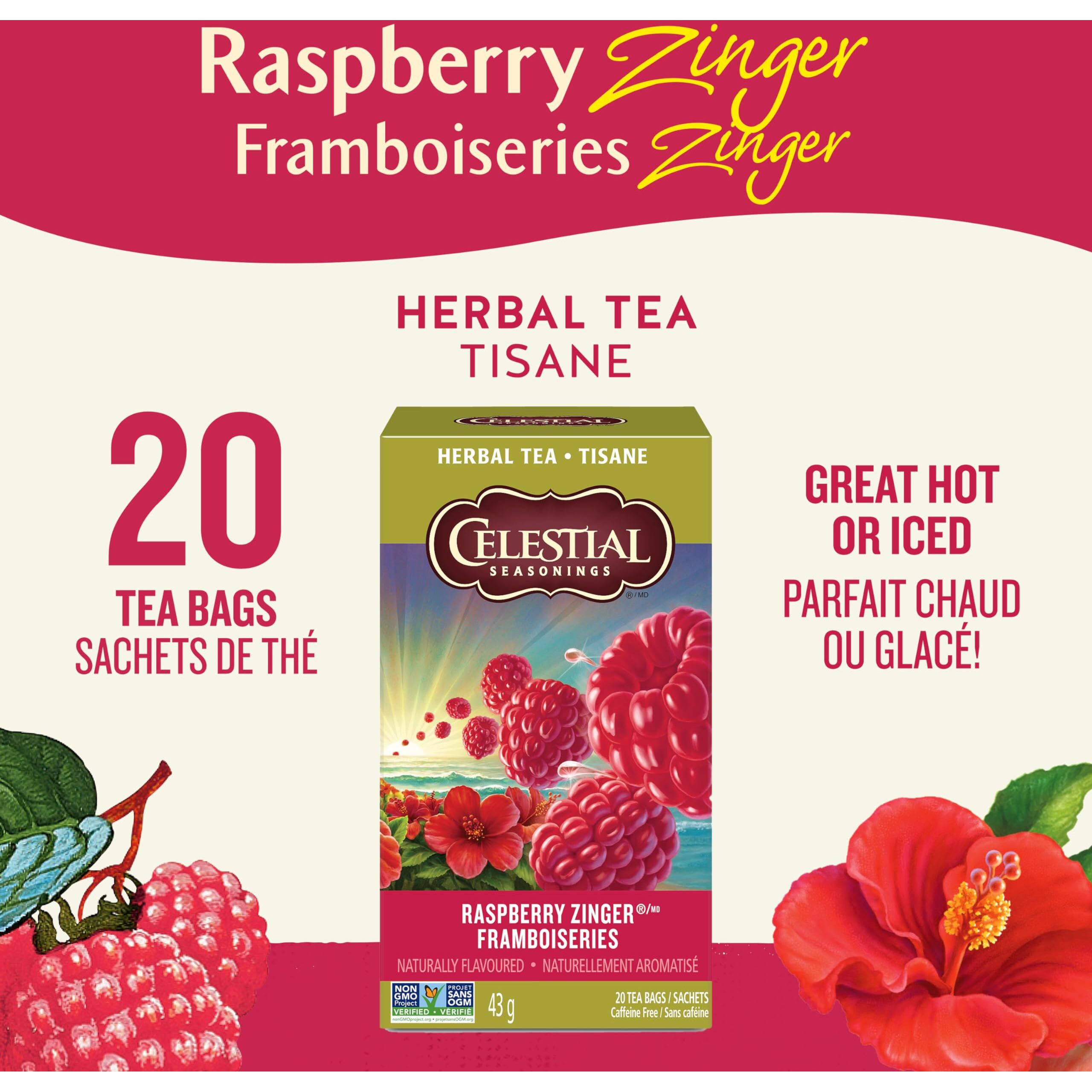 Celestial Seasonings Tea Zngr Rspbry