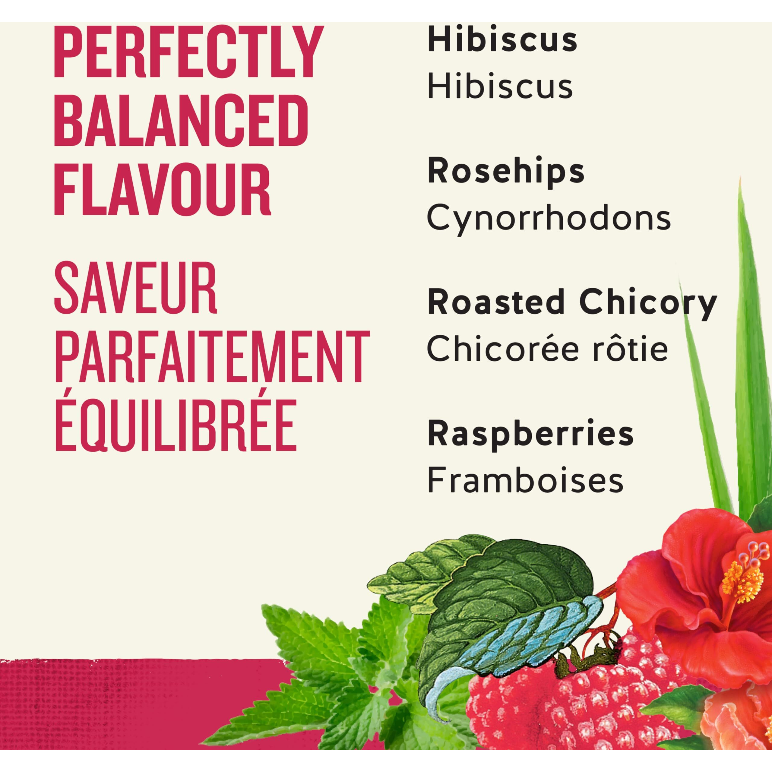 Celestial Seasonings Tea Zngr Rspbry