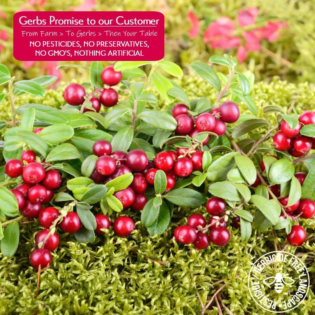 Gerbs Dried Cape Cod Cranberries 4 Lbs. | Freshly Dehydrated Re-Sealable Bulk Bag | Top 14 Food Allergy Free | Sulfur Dioxide Free | Heart Healthy & Boost Immune System | Gluten, Peanut, Tree Nut Free