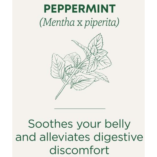 Traditional Medicinals Tea Peppermint Organic, 16 Ct