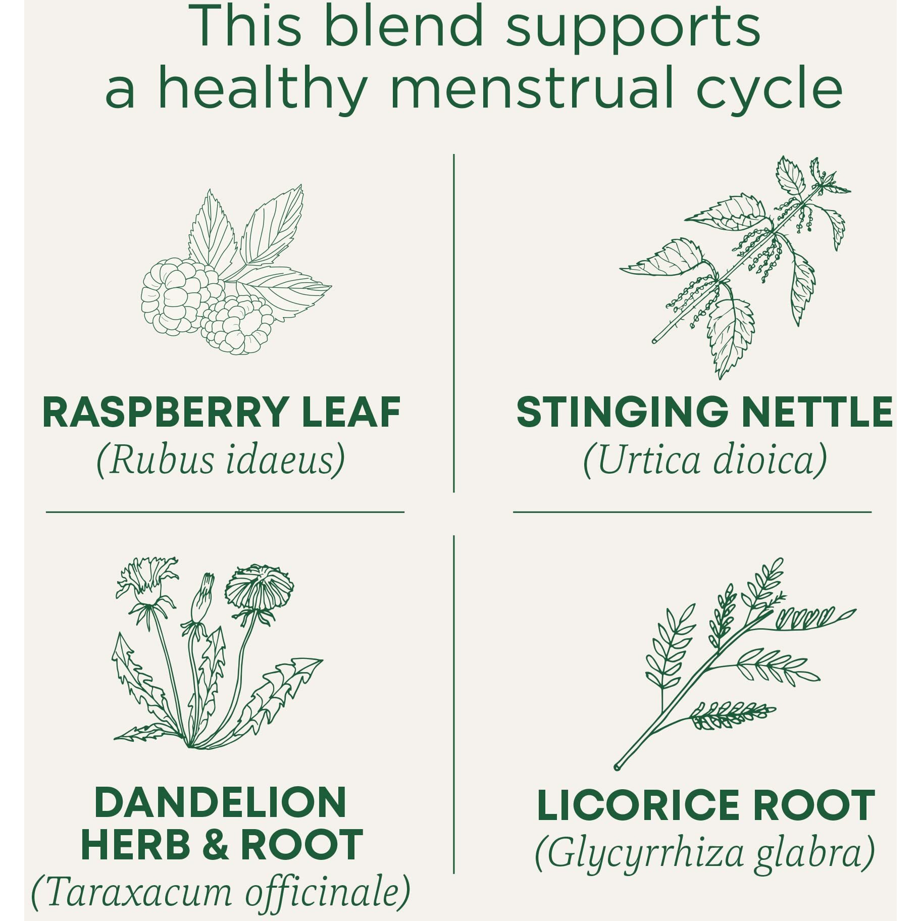 Traditional Medicinals Tea, Organic Healthy Cycle, Supports Healthy Menstrual Cycles, 96 Tea Bags (6 Pack)