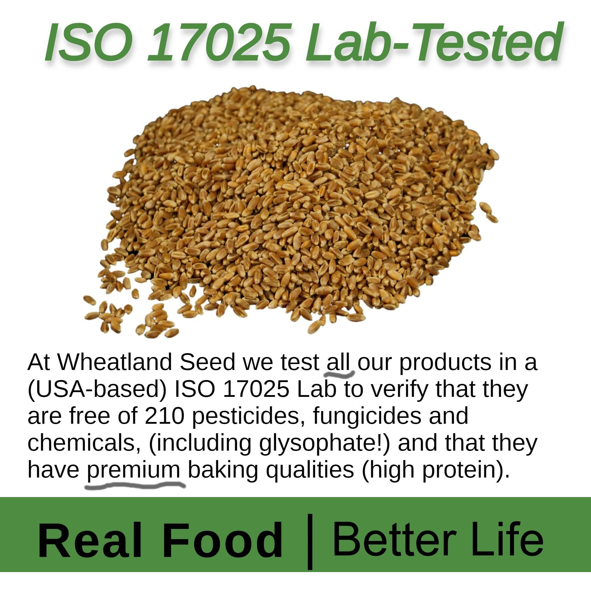 Wheatland Organic Hard Red Wheat Berries  20Lb Bucket, Sealed In Mylar  Emergency Food Storage  Grown By Family Farmers In Utah/Idaho  25 Yr. Shelf Life  Sproutable  Certified Organic