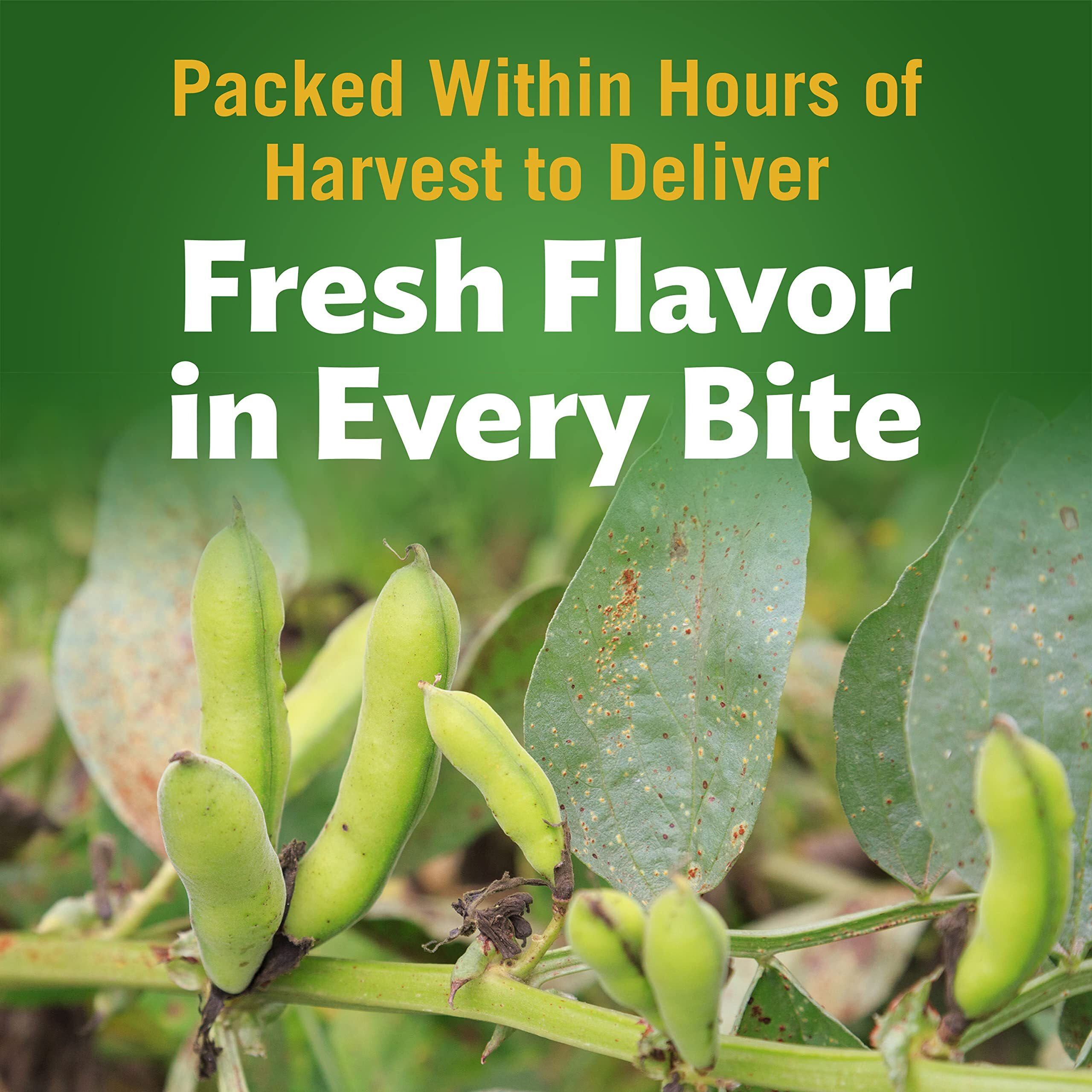 Del Monte Canned Harvest Selects Green Lima Beans, 8.5 Ounce (Pack Of 12)