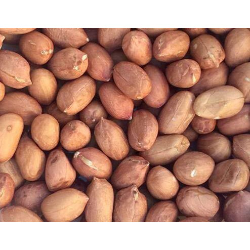 Raw Red Skin Peanuts (Uncooked, Unsalted) 3 Lb. (48Oz), Product Of Usa
