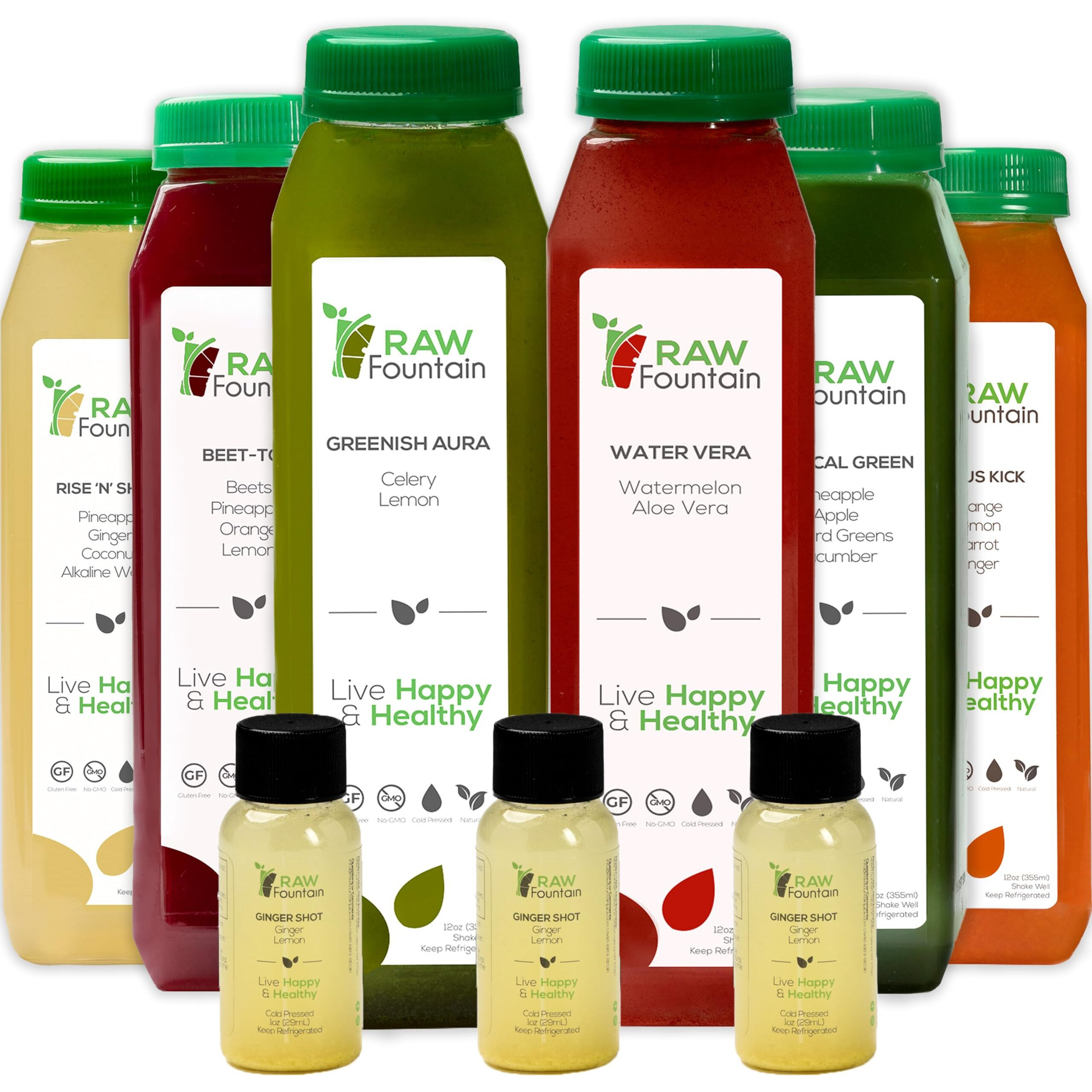 Raw Fountain 1 Day Juice Cleanse, Tropical Flavors, All Natural Raw, Cold Pressed Fruit And Vegetable Juices, Detox Cleanse, 6 Bottles 12Oz, 3 Bonus Ginger Shots