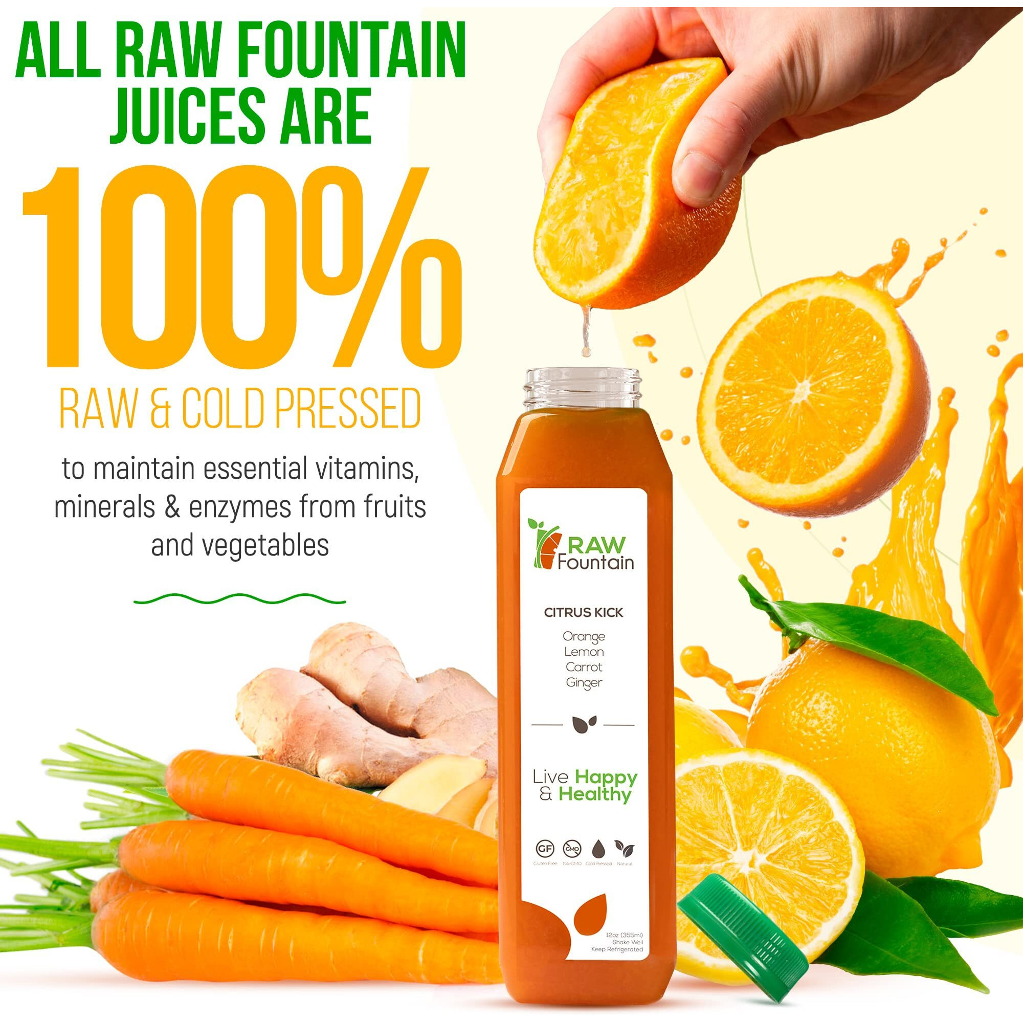 Raw Fountain 1 Day Juice Cleanse, Tropical Flavors, All Natural Raw, Cold Pressed Fruit And Vegetable Juices, Detox Cleanse, 6 Bottles 12Oz, 3 Bonus Ginger Shots