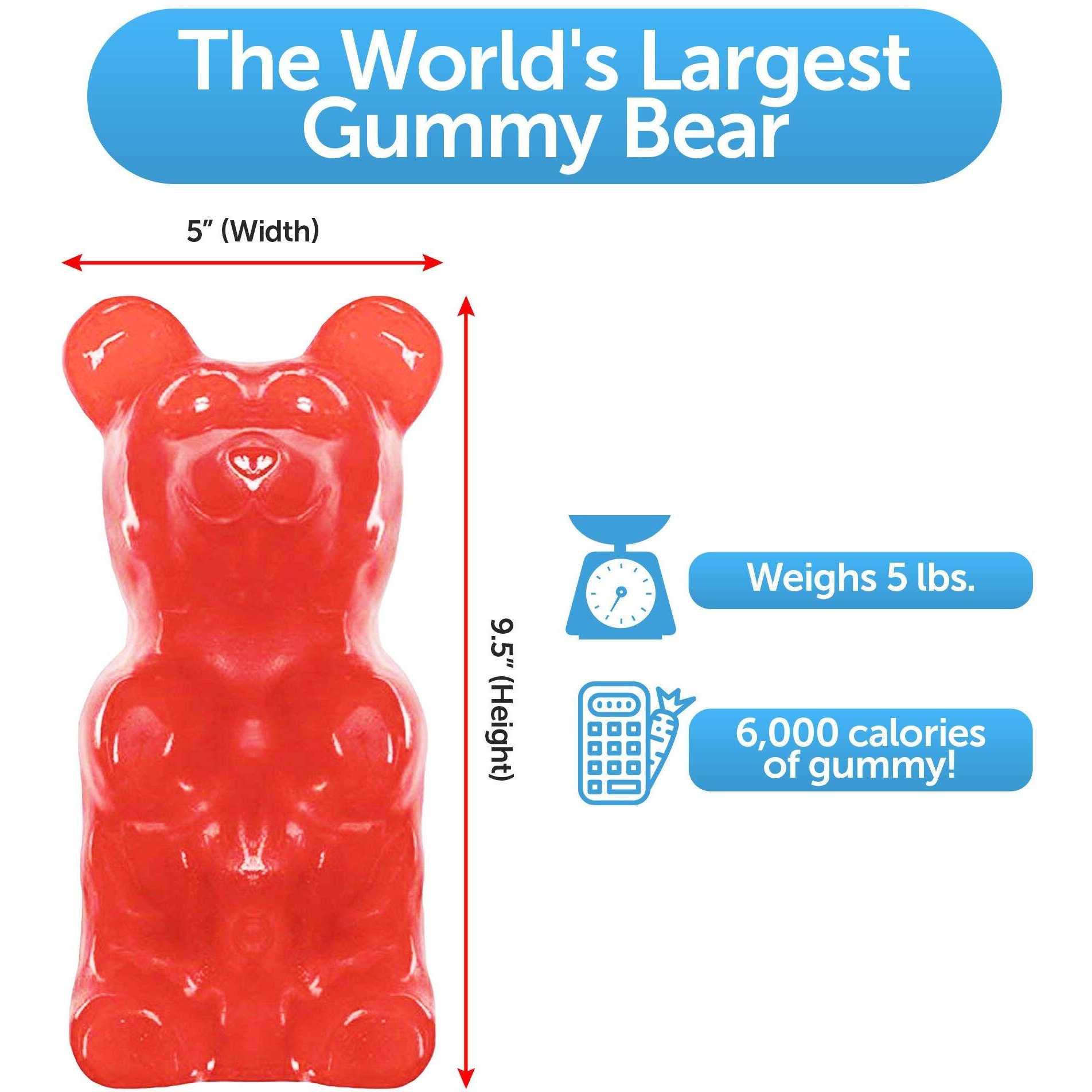 The Gummy Bear Guy | The Original World's Largest Gummy Bear - 5 Pounds - Cherry - Now Offering 40 Flavor Options