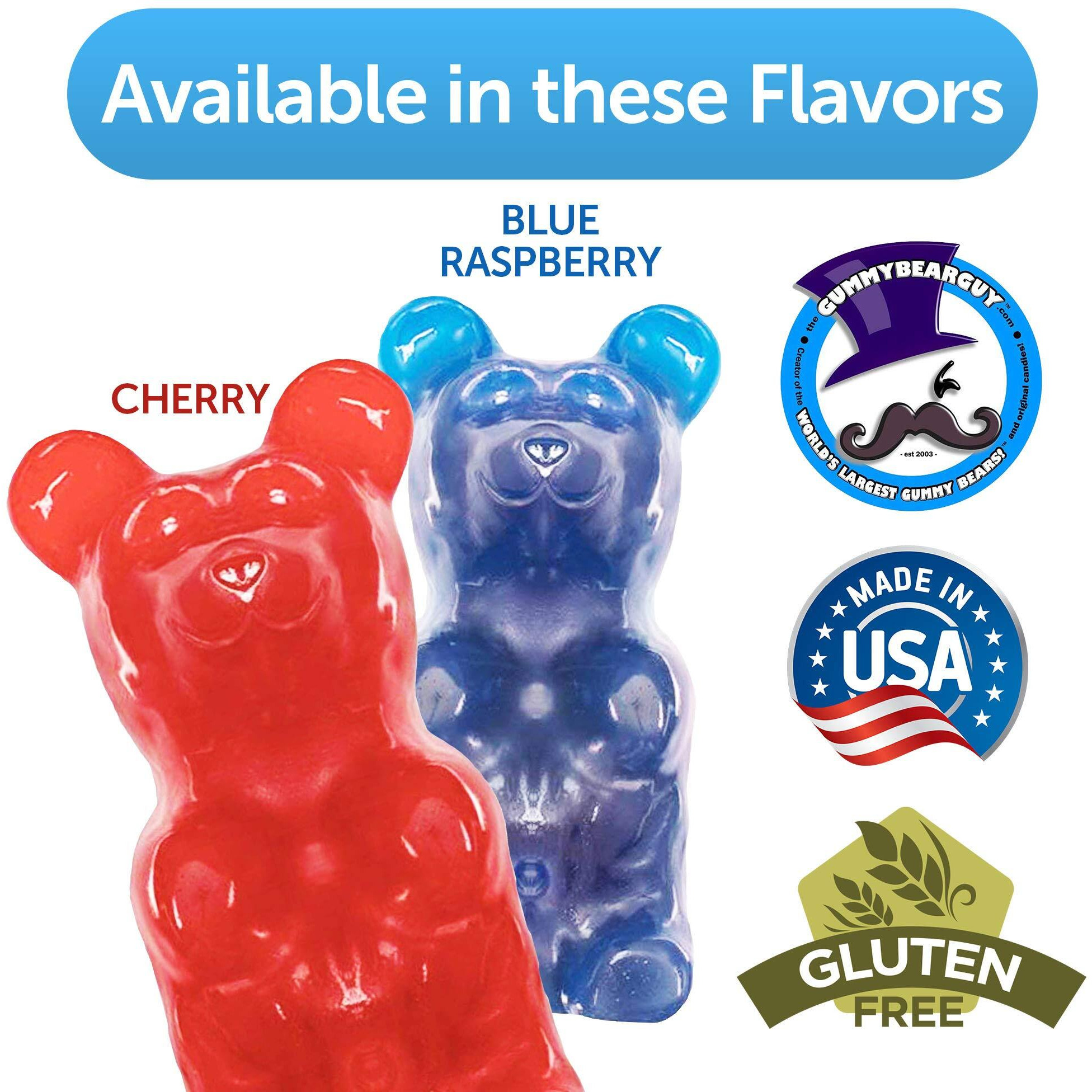 The Gummy Bear Guy | The Original World's Largest Gummy Bear - 5 Pounds - Cherry - Now Offering 40 Flavor Options