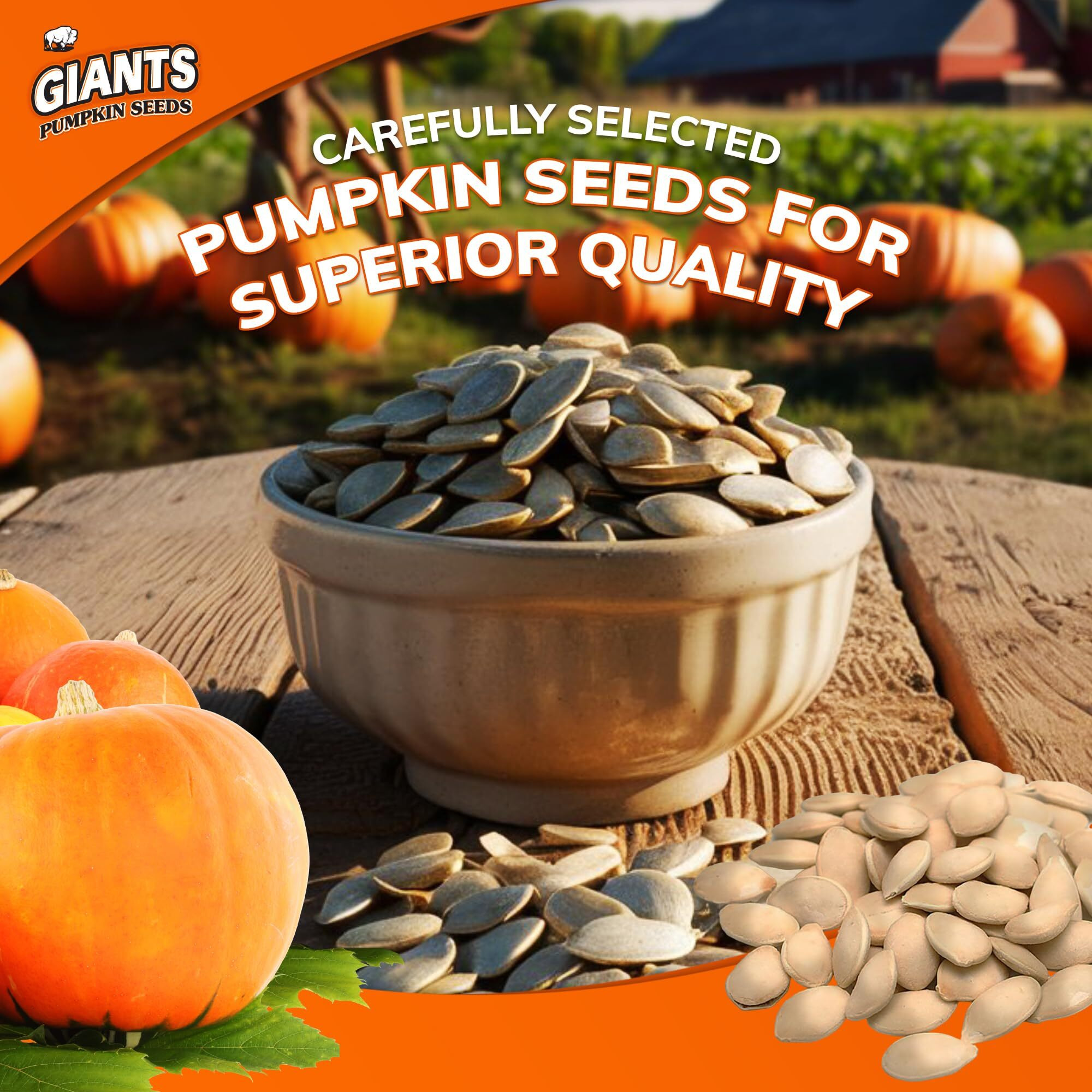 Giants Pumpkin Seeds, Roasted And Salted 5.15 Oz. (Package Of 12)