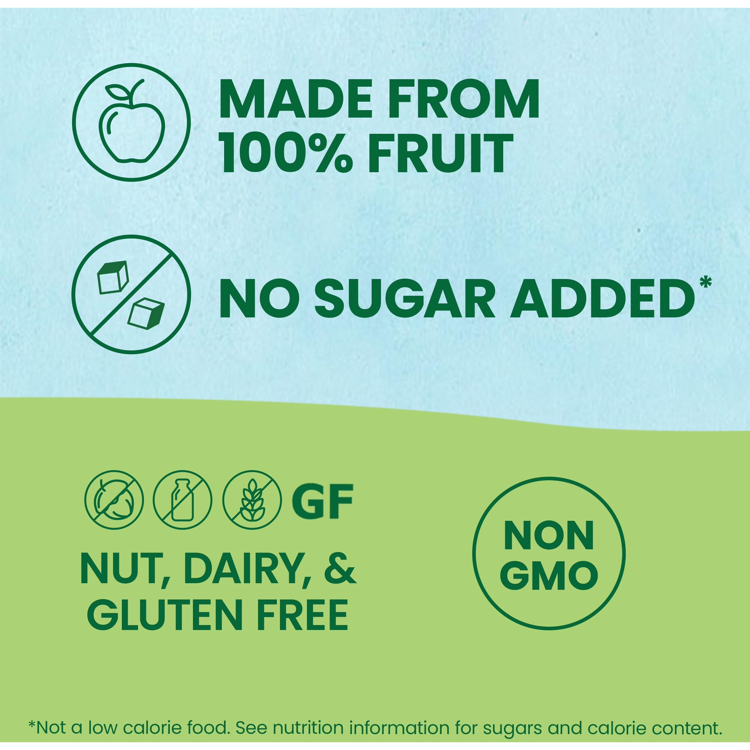 Gogo Squeez Fruit On The Go, Apple Apple, 3.2 Oz (Pack Of 48), Unsweetened Fruit Snacks For Kids, Gluten Free, Nut Free And Dairy Free, Reclosable Cap, Bpa Free Pouches