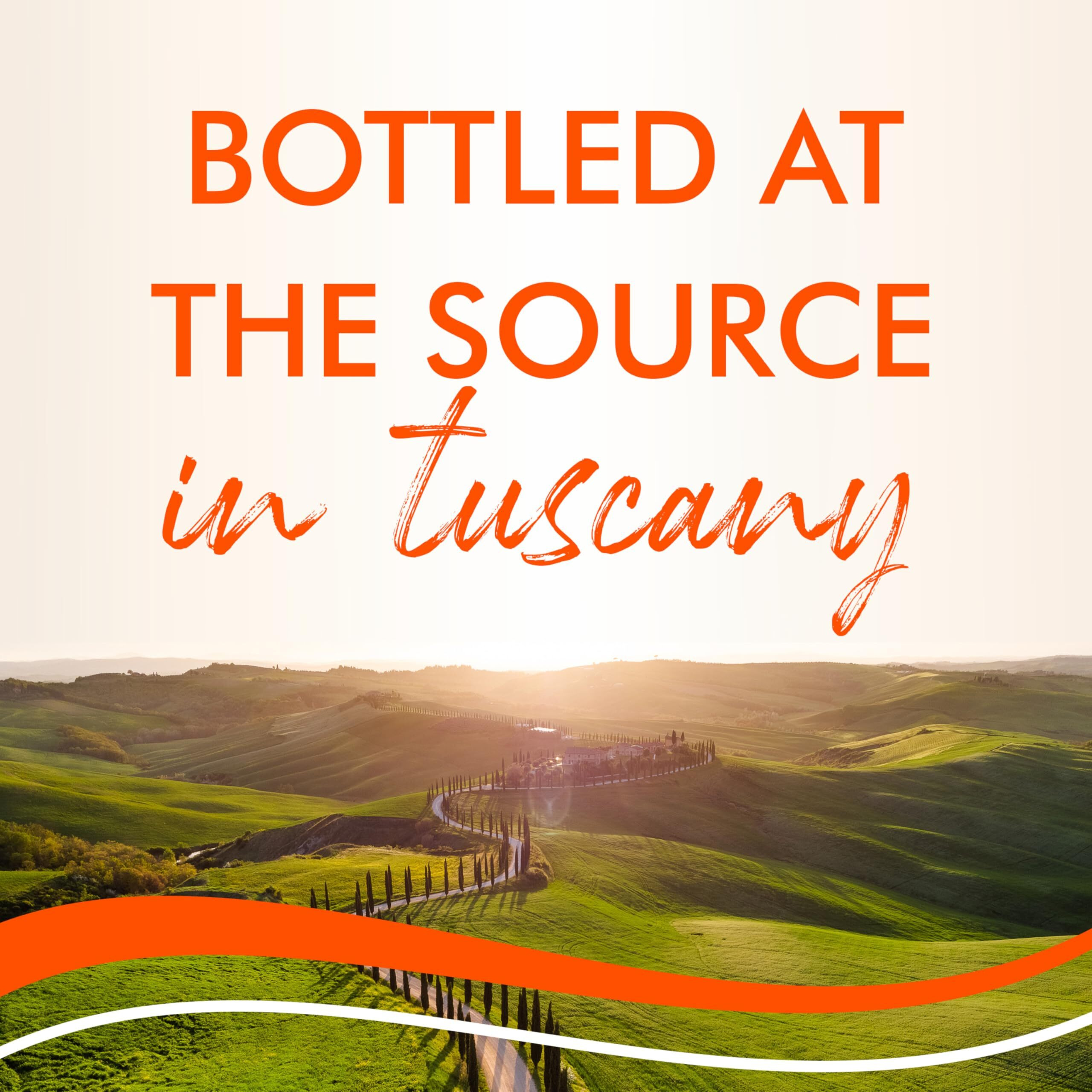 Acqua Panna Natural Spring Water, 16.9 Fl Oz (Pack Of 15) Plastic Water Bottles