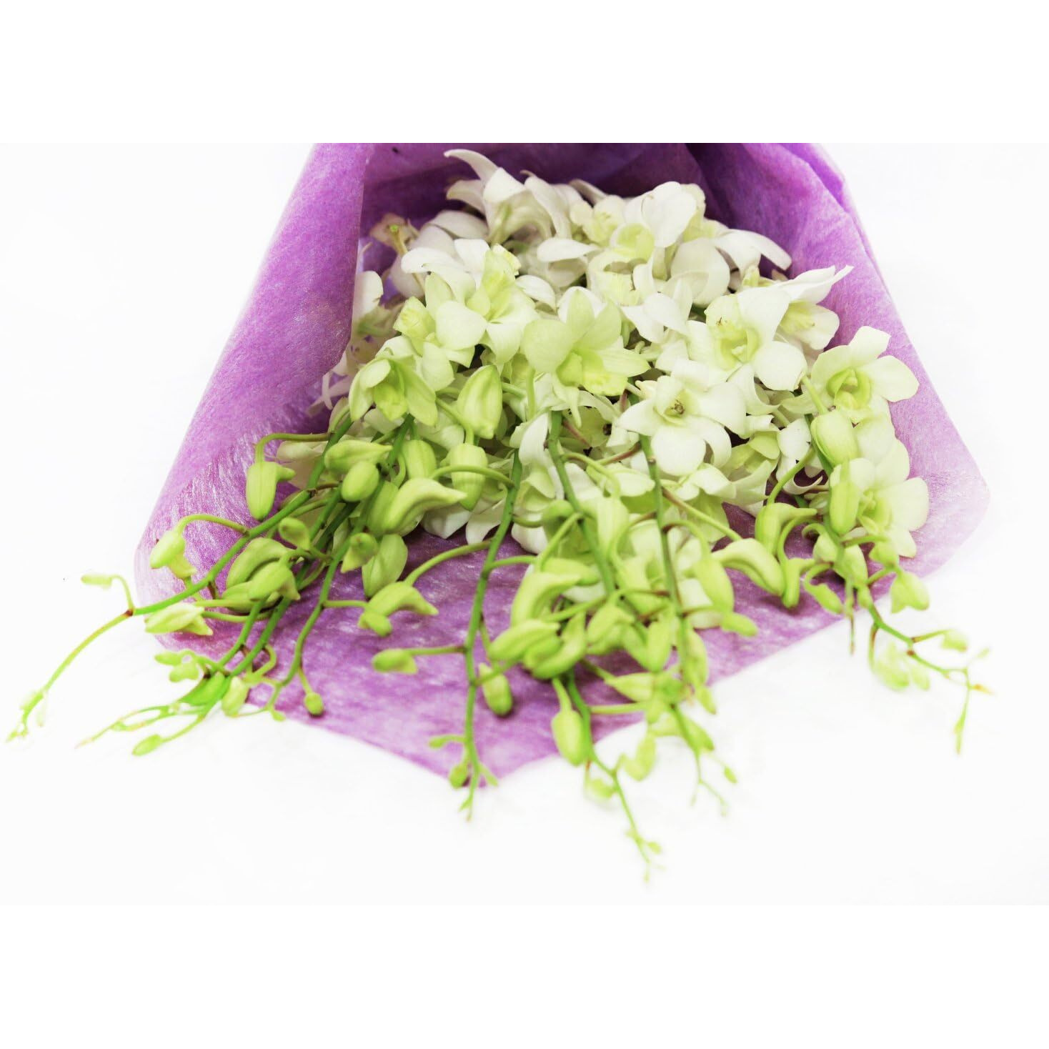 Fresh Cut Flowers - Dendrobium Orchids White