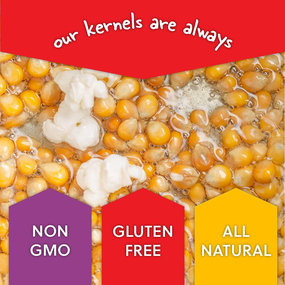 Wabash Valley Farms All In One Popcorn Kits -Sweet & Salty Kettle Corn, Popcorn Kernels For Popcorn Machine, Kernels, Popcorn Kit, 15 Popping Kits