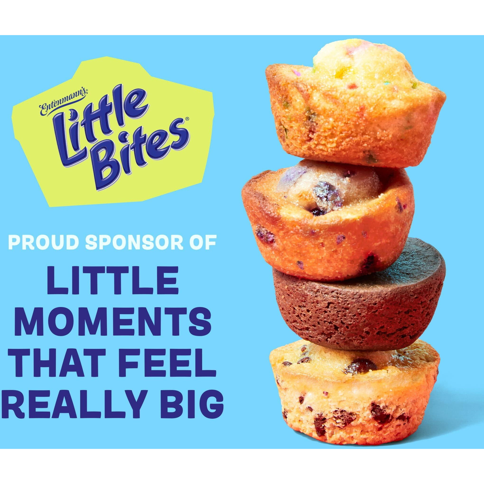Little Bites Crumb Cake Muffins, 5 Individual Packs, (4 Ct Each), Cinnamon & Brown Sugar Mini Muffins, 8.75 Oz Multipack
