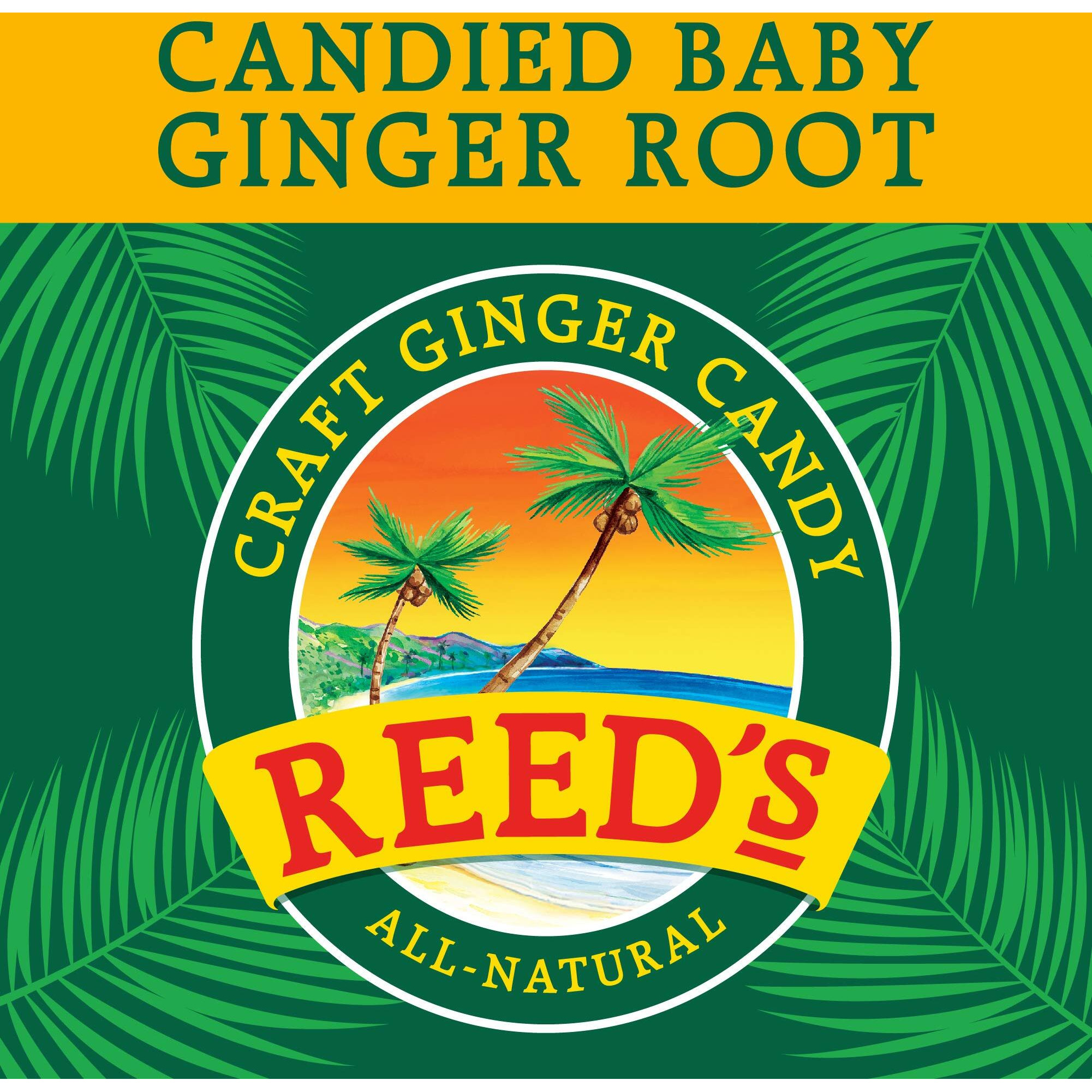 Reed's All Natural Crystallized Ginger Nuggets In A 16 Oz Resealable Bag - Baby Ginger Root Fruit Slices Sweetened With Raw Cane Sugar Crystals - High Energy Ginger Candies For Snacking - 12 Pack