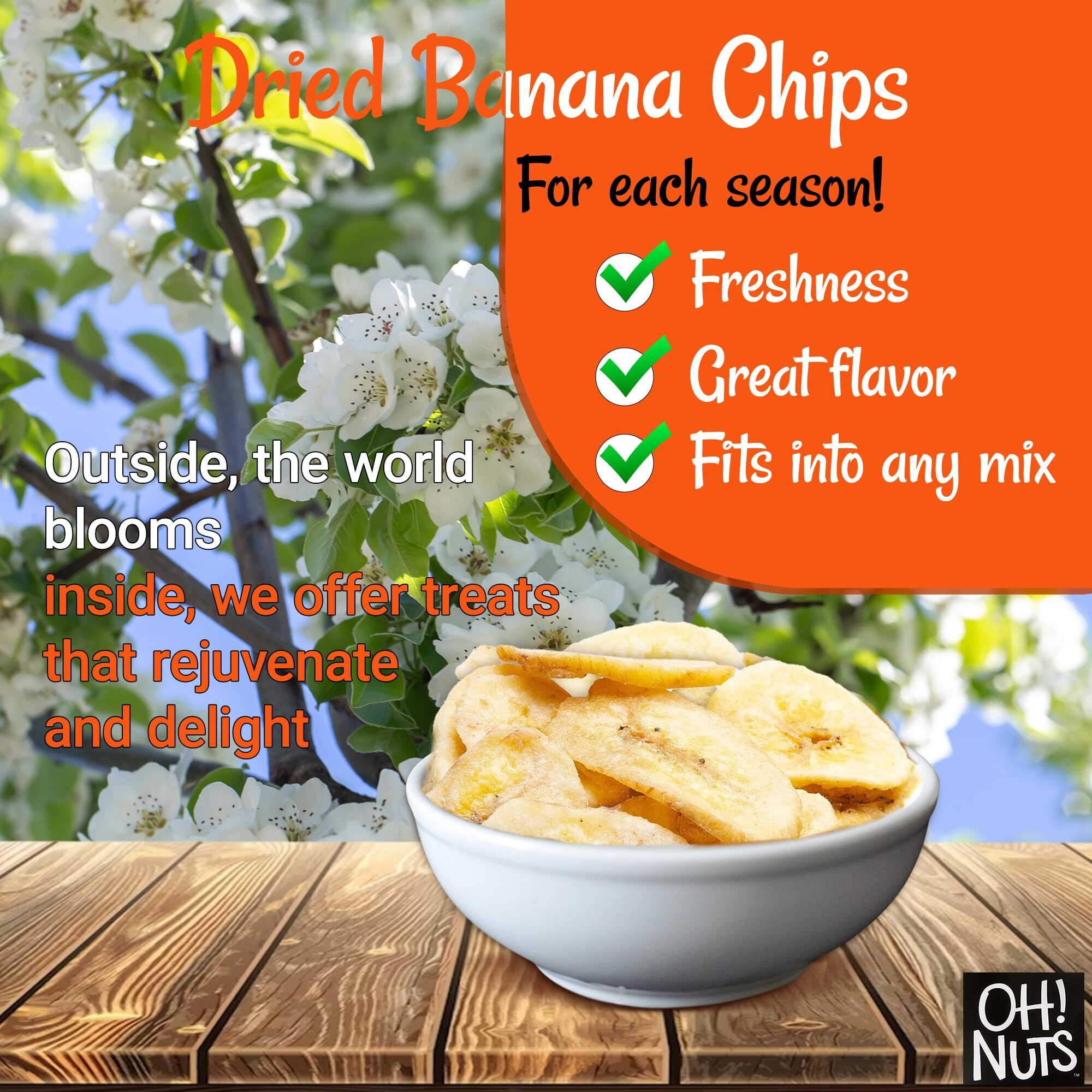 Dried Banana Chips | 3 Lb - Dried Fruit Slices | Light Sugar Added | Dehydrated Fruit Bites | Packed In New York Zip-Seal Bag For Exceptional Freshness By Oh Nuts