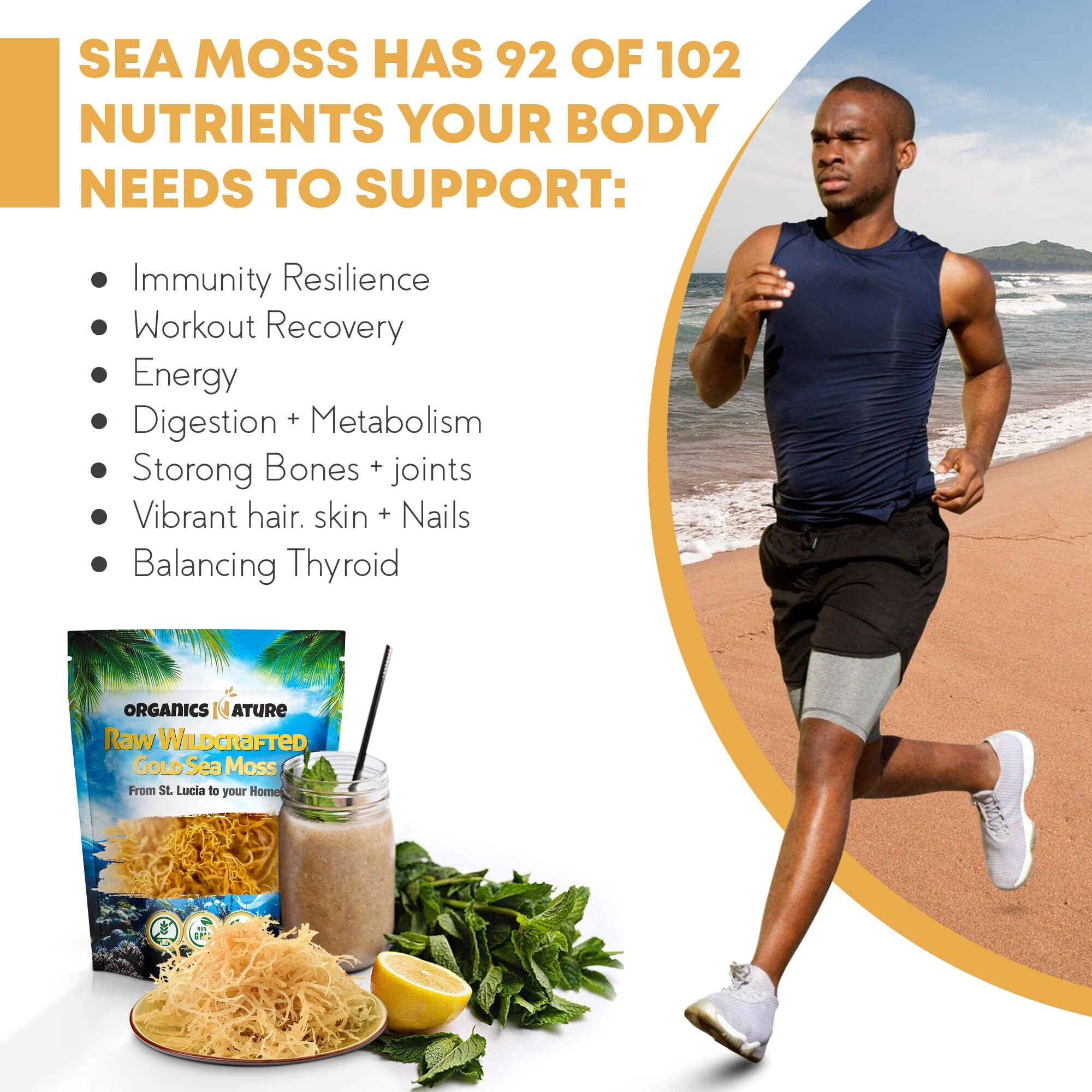 Organics Nature Raw Wildcrafted Sea Moss | Organic Wildcrafted & Non-Gmo Certified | Dr Sebi Approved | Make 5 Jars Of Sea Moss Gel | Immune Support, Energy &E Essential Minerals & Vitamins 4 Oz