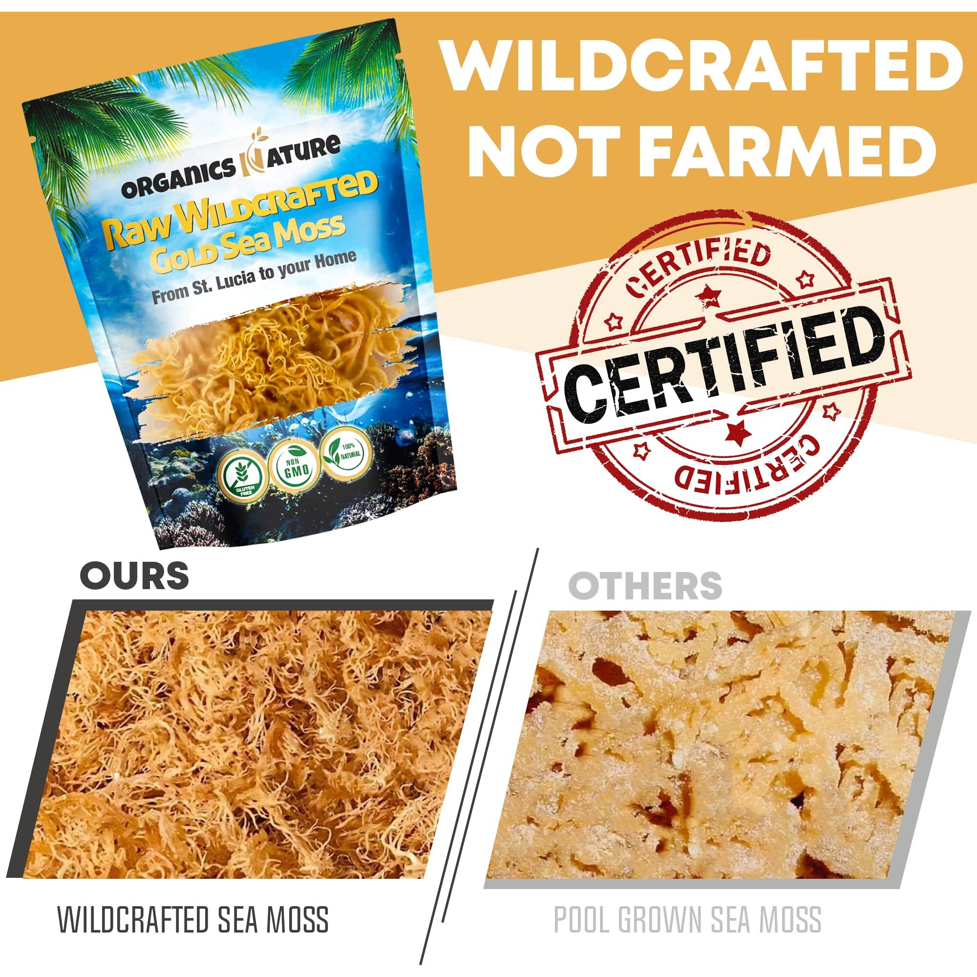 Organics Nature Raw Wildcrafted Sea Moss | Organic Wildcrafted & Non-Gmo Certified | Dr Sebi Approved | Make 5 Jars Of Sea Moss Gel | Immune Support, Energy &E Essential Minerals & Vitamins 4 Oz