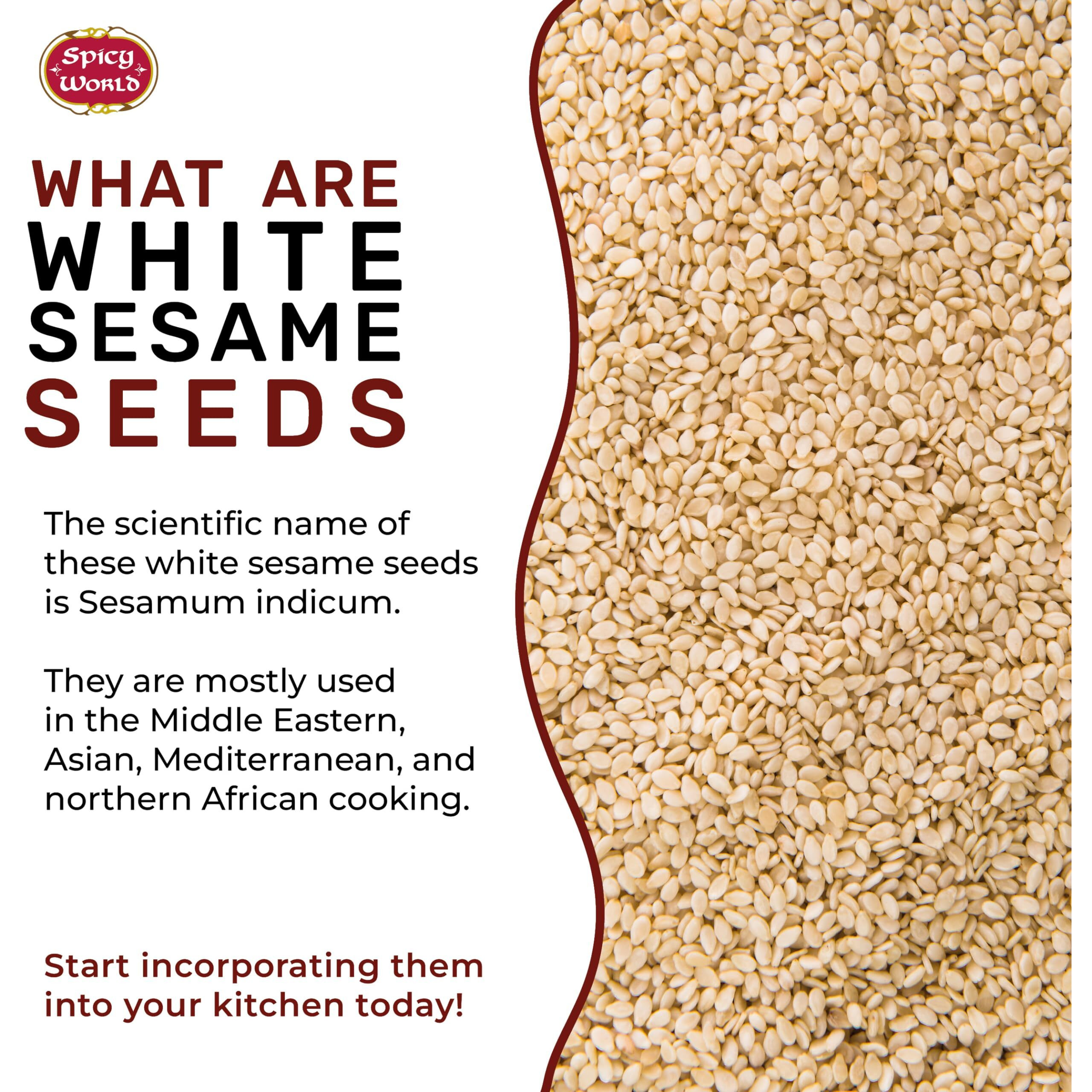 White Sesame Seeds 14Oz Bag - Natural, Raw, Hulled - By Spicy World