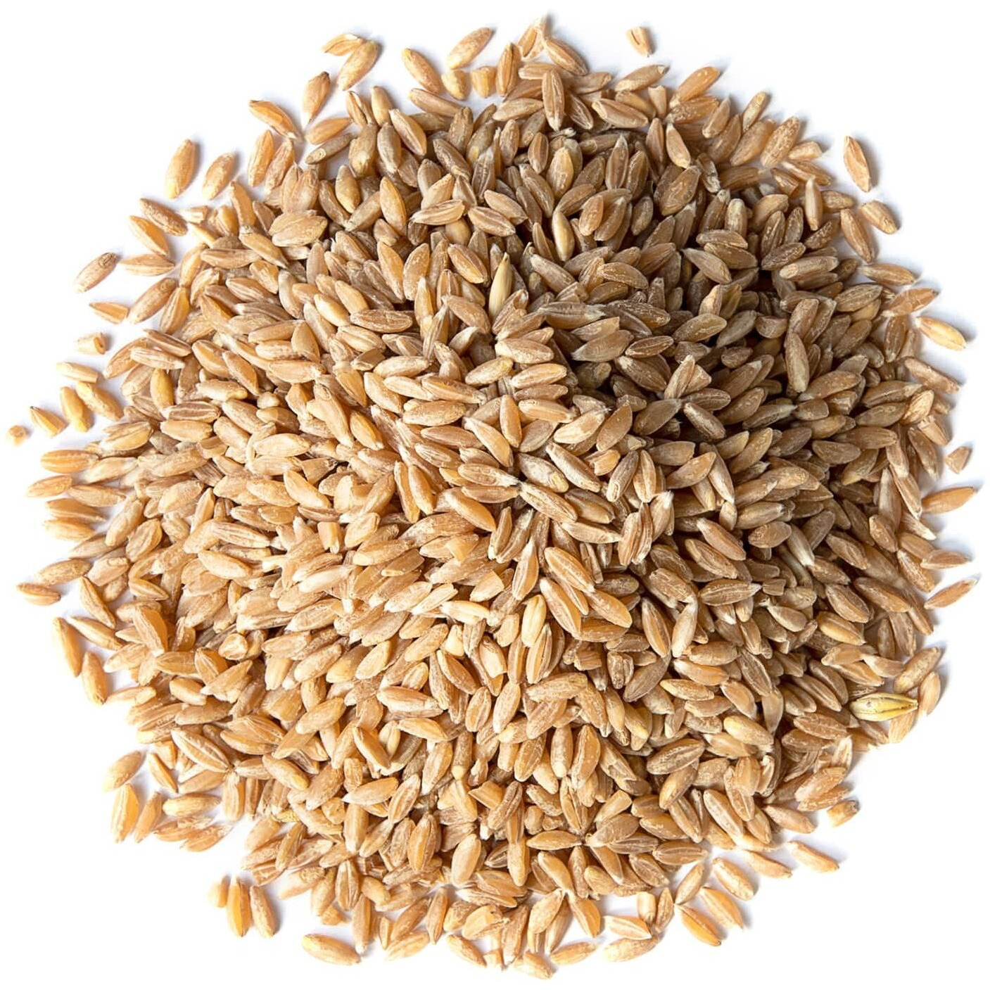 Food To Live Organic Spelt Berries, 5 Pounds - Non-Gmo, Whole Grain, Non-Irradiated, Vegan Superfood, Bulk, Product Of The Usa