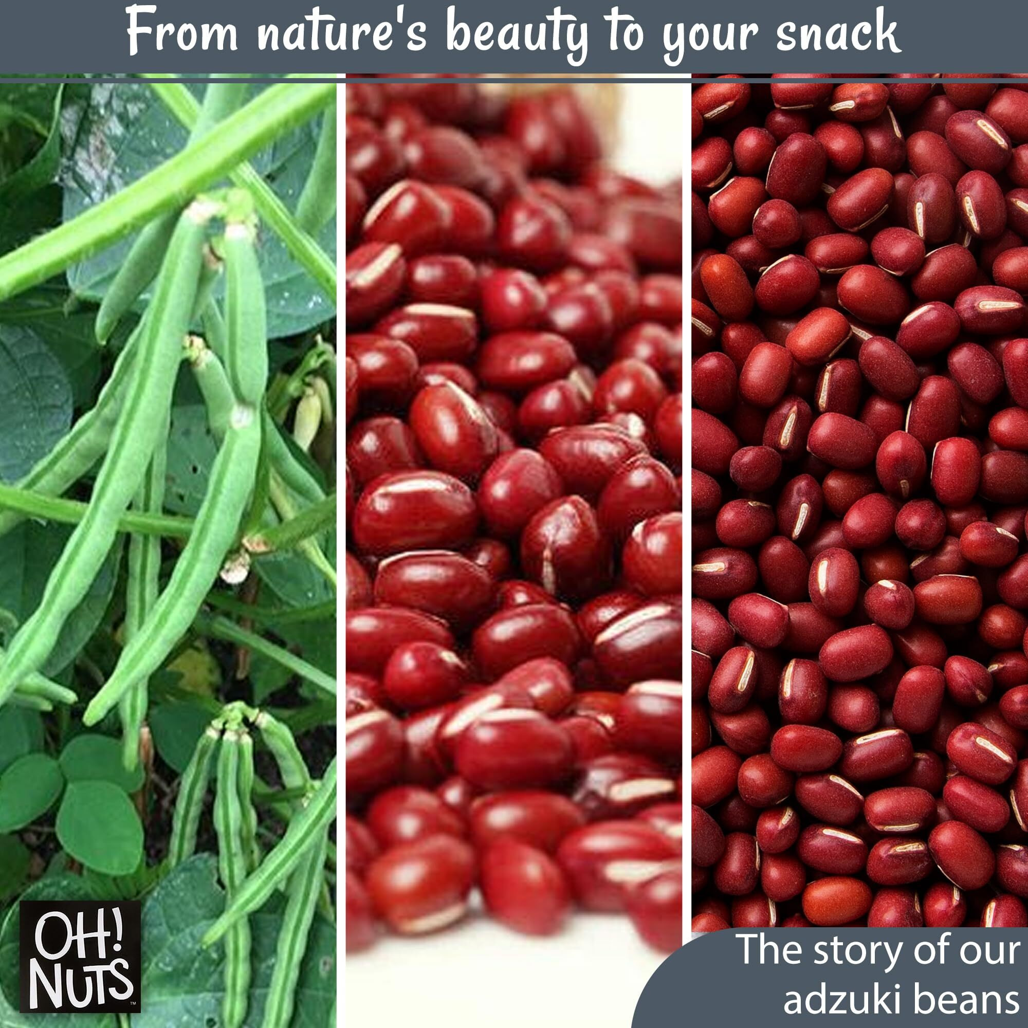 Adzuki Beans | Raw - 100% Natural | 2 Lb | Dried Red Mung Beans From Thailand | Packed In New York Zip-Seal Bag For Exceptional Freshness By Oh Nuts