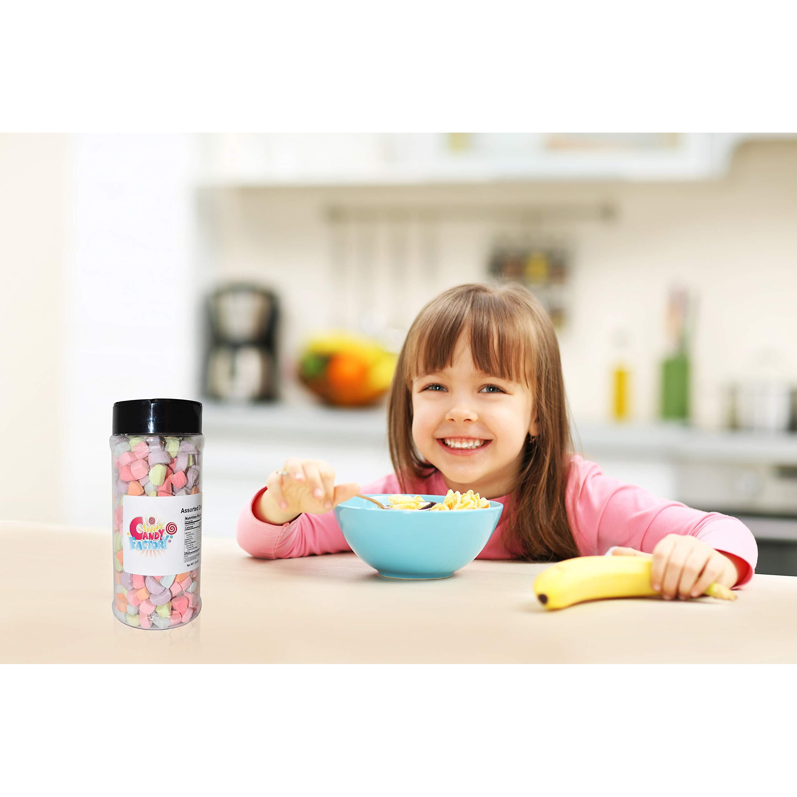 Sarahs Candy Factory Variety Dehydrated Marshmallow Bits, Vanilla Marshmallows In Jar, Assorted Marshmallows In Jar Assorted-Assorted