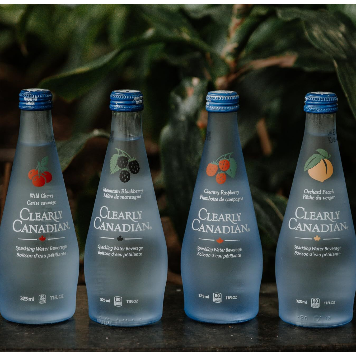 Clearly Canadian Sparkling Flavored Water (4 Flavor Sampler, 12 Pack Variety)
