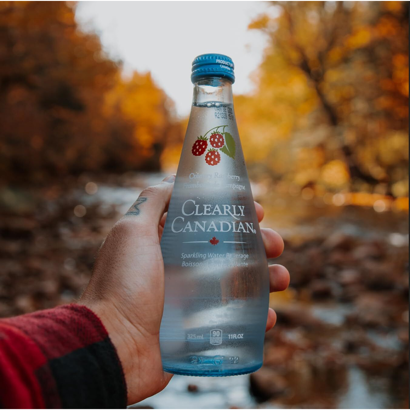 Clearly Canadian Sparkling Flavored Water (4 Flavor Sampler, 12 Pack Variety)