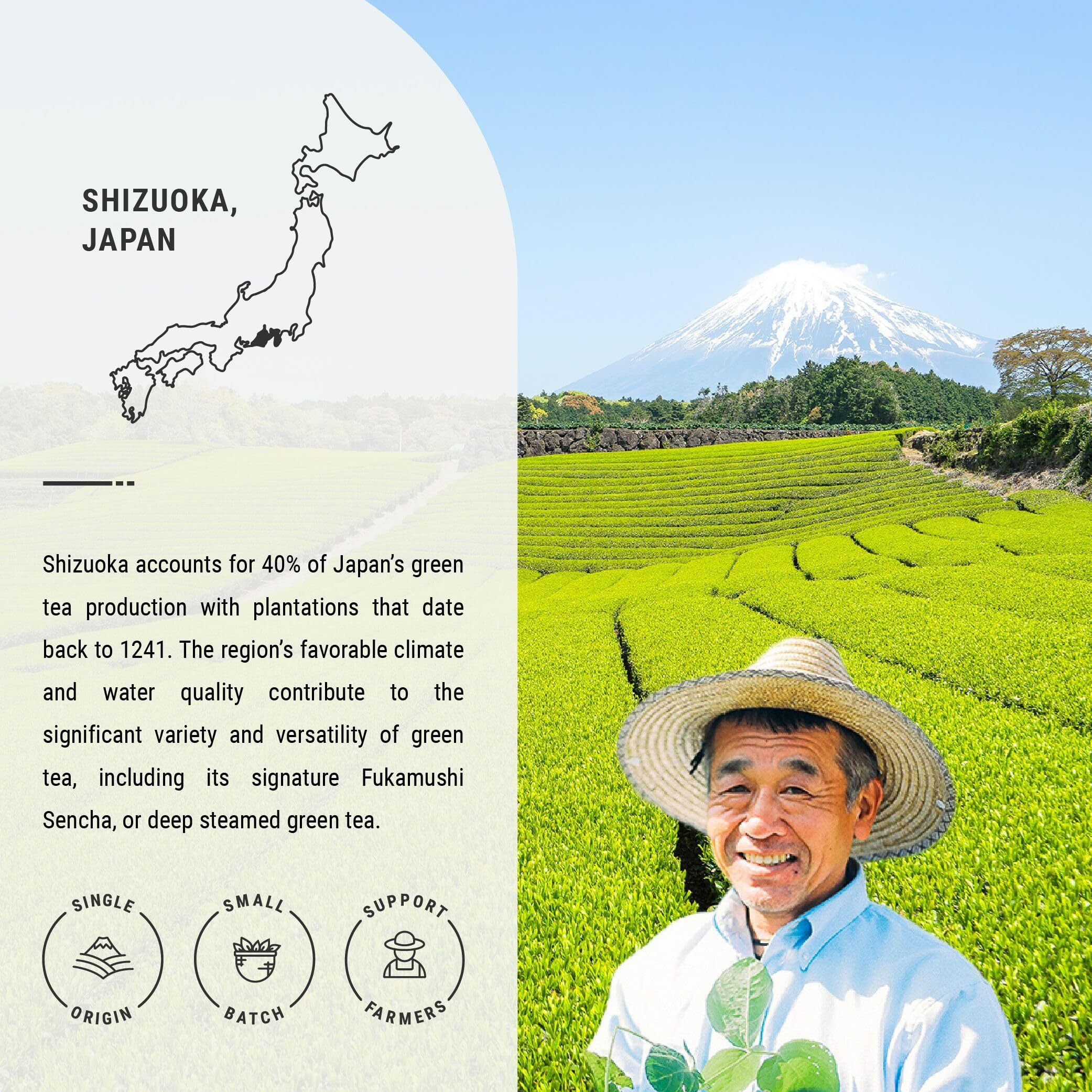 Senbird Organic Sencha - Japanese Green Tea - From Shizuoka, Japan - Loose Leaf Tea In Airtight Tea Tin (3.5Oz/100G)