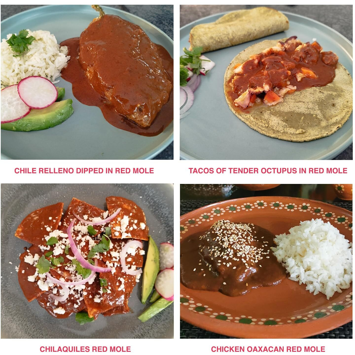 Mayanshul Healthy Red Mole Sauce | Mole Rojo Oaxaqueno | Superfood Ingredients | Fat Free, No Added Sugar, Low Carb, Low Sodium, Vegan, Paleo Friendly