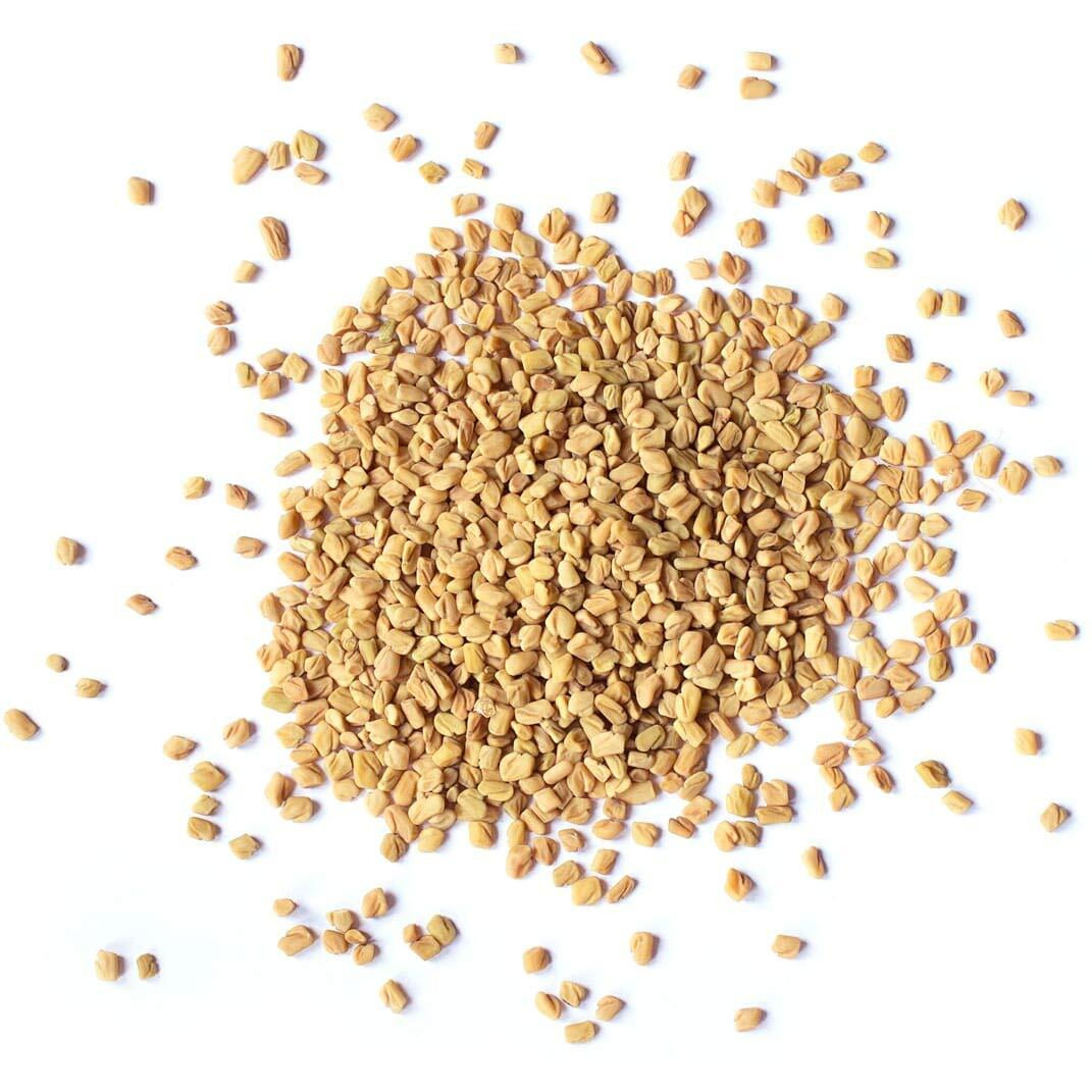 Fenugreek Seeds, 10 Pounds - Non-Gmo Verified, Whole, Raw, Sproutable, Vegan, Kosher, Bulk Methi, Good Source Of Dietary Fiber, Protein, Iron, Great For Pickling, Vegetable Dishes, And Spice Mixes