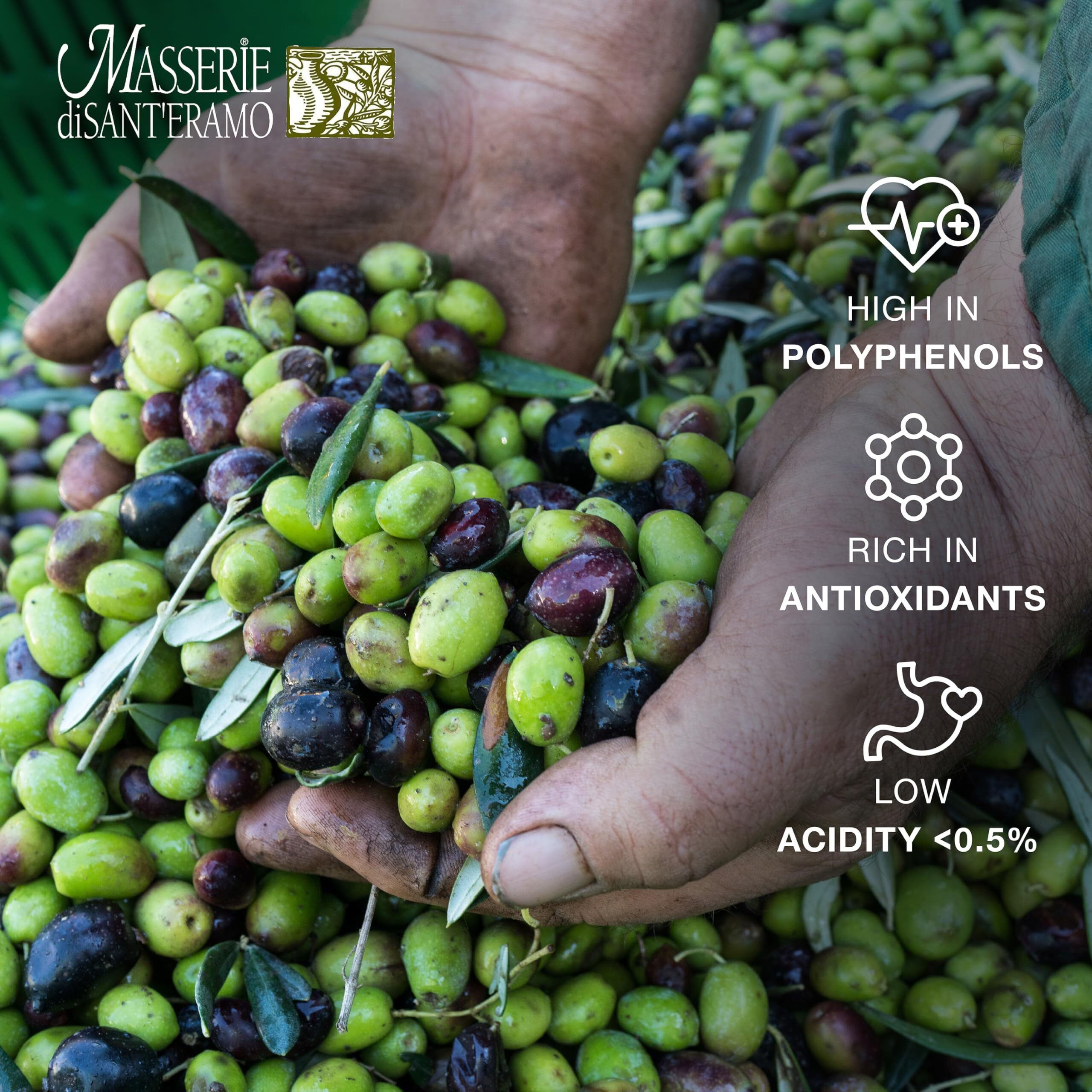 Delicate Italian Extra Virgin Olive Oil Cold Pressed - Light Olive Oil For Cooking And Frying, Imported From Italy - Masserie Di Sant'Eramo - 8.45 Fl Oz (Pack 1)