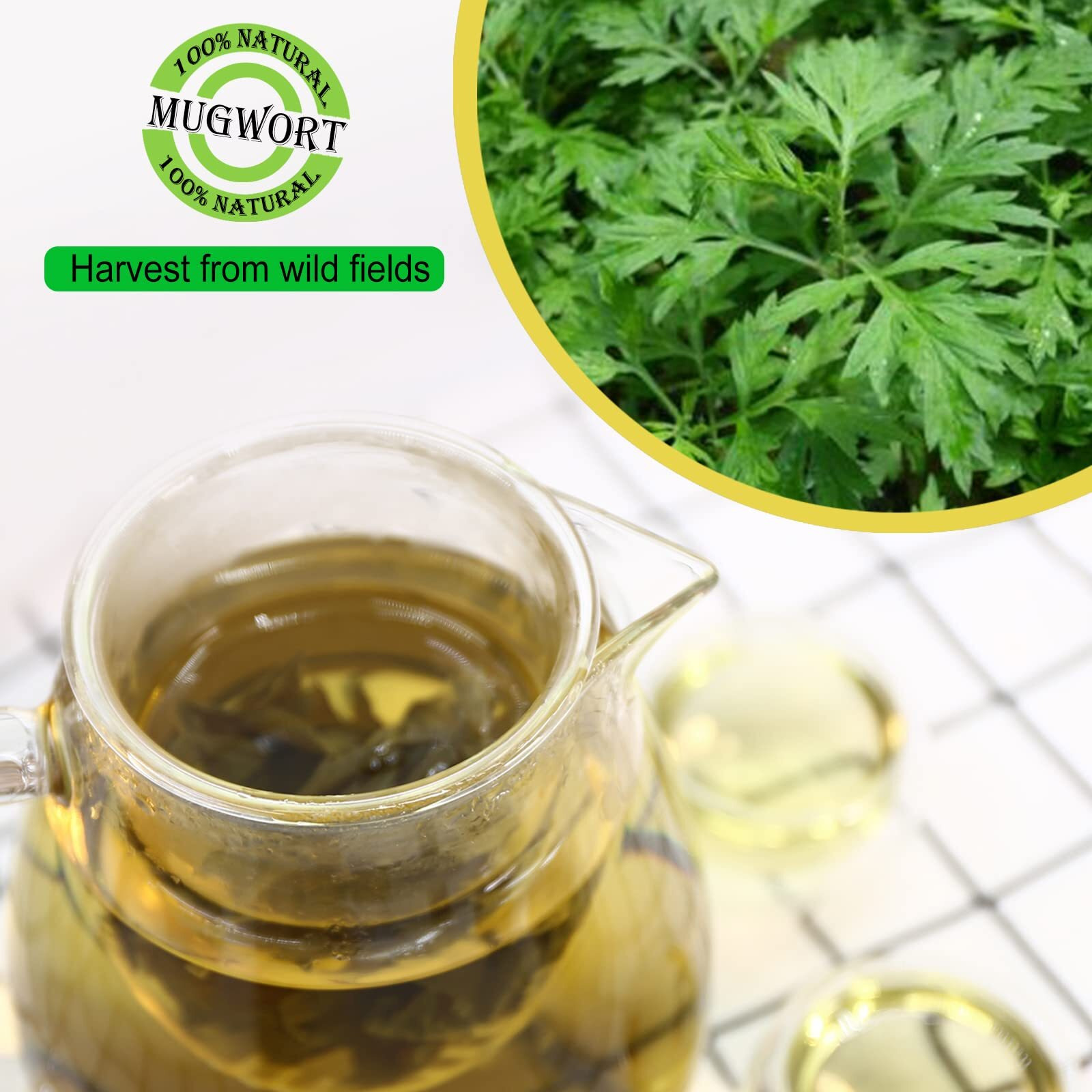 Jarteela - Premium Dried Mugwort Herbs - 2Oz/57G - Natural Herbs Loose Leaf For Mugwort Tea - Non-Gmo - Caffeine-Free