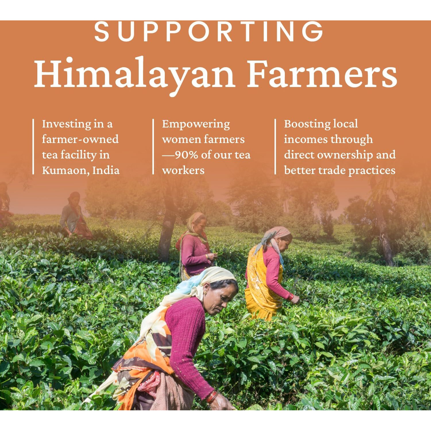 Young Mountain Tea Organic Earl Grey Tea Bags, Himalayan Robust Black Tea With Pure Bergamot Oil, Citrus & Caramel Notes, Farmer-Owned Factory, 12 Pyramid Tea Bags