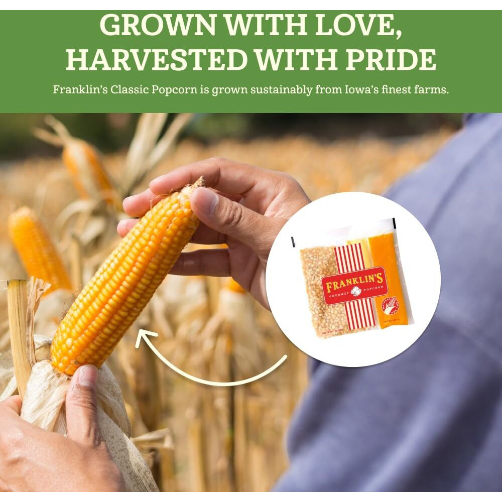 Franklins Gourmet Popcorn All-In-One Popcorn Packs For Popcorn Machine - 4Oz Pack Of 10 - Made In Usa - Packs Of Popcorn Bags With Buttery Salt & Oil