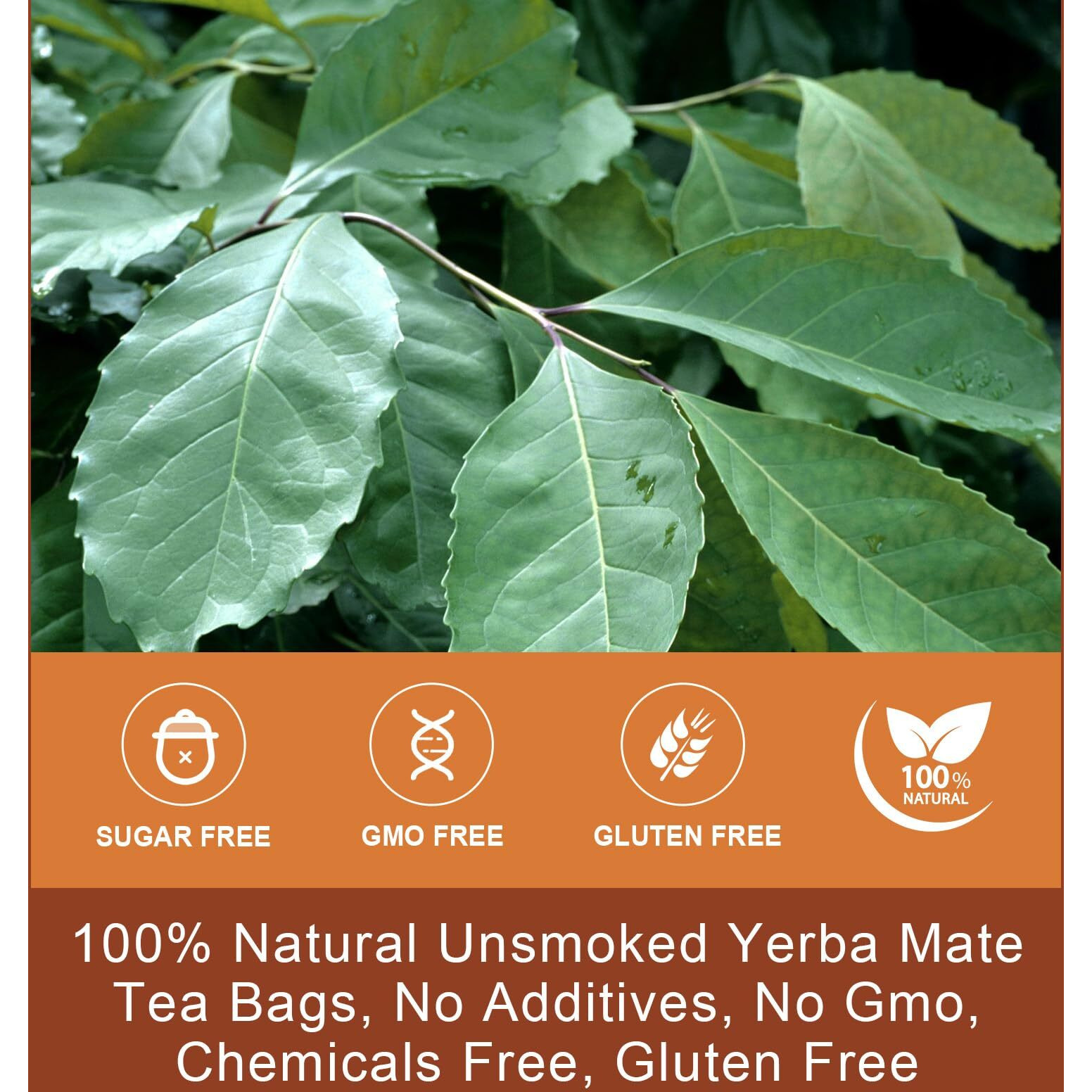 Yerba Mate Tea - Unsmoked Yerba Mate Herbal Tea Bags For Antioxidant, Detox, Digestion And Immune Support, Boost Energy - 30 Tea Bags
