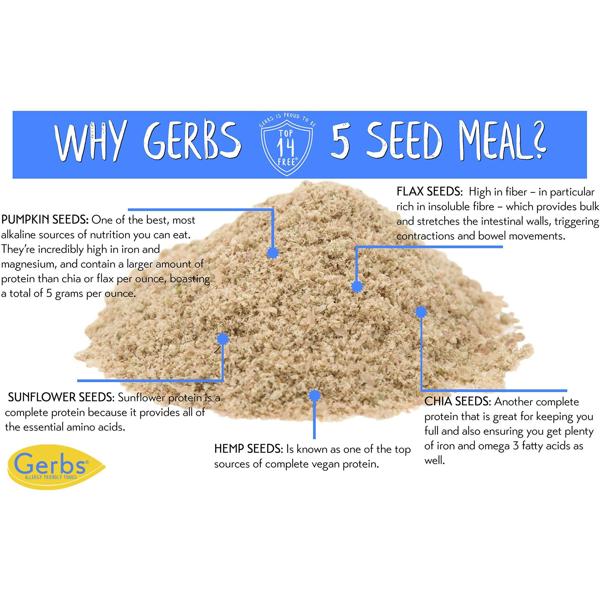 Ground Raw Pumpkin, Sunflower, Chia, Flax, Hemp Seed Meal By Gerbs - 4 Lbs - Top 11 Food Allergen Free & Non Gmo - Vegan & Kosher - Premium Full Oil Content Protein Powder