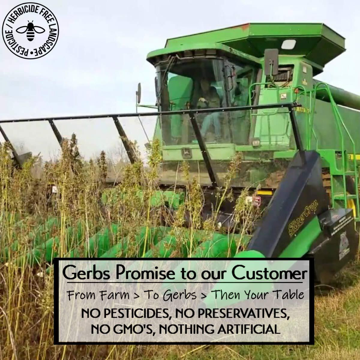 Ground Raw Pumpkin, Sunflower, Chia, Flax, Hemp Seed Meal By Gerbs - 4 Lbs - Top 11 Food Allergen Free & Non Gmo - Vegan & Kosher - Premium Full Oil Content Protein Powder