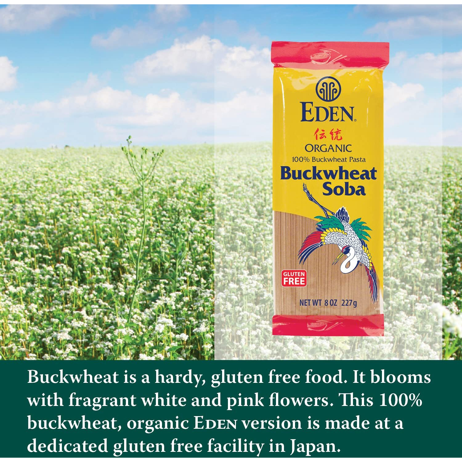 Eden 100% Buckwheat Soba Pasta, 8 Oz (3-Pack)