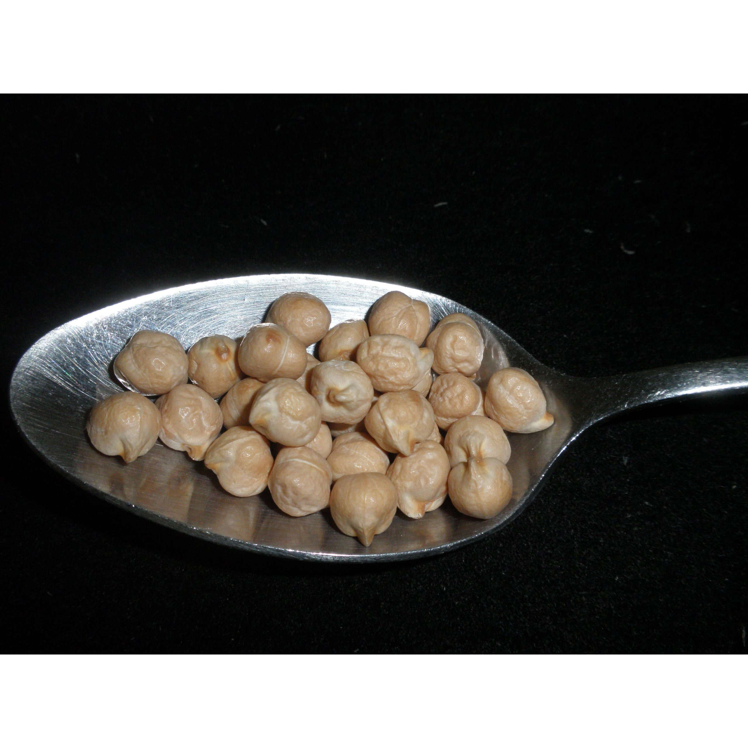 Garbanzo Beans, 5 Pounds (Chick Peas), Usda Certified Organic, Dried, Non-Gmo, Great For Hummus, Bulk, Product Of Usa, Mulberry Lane Farms