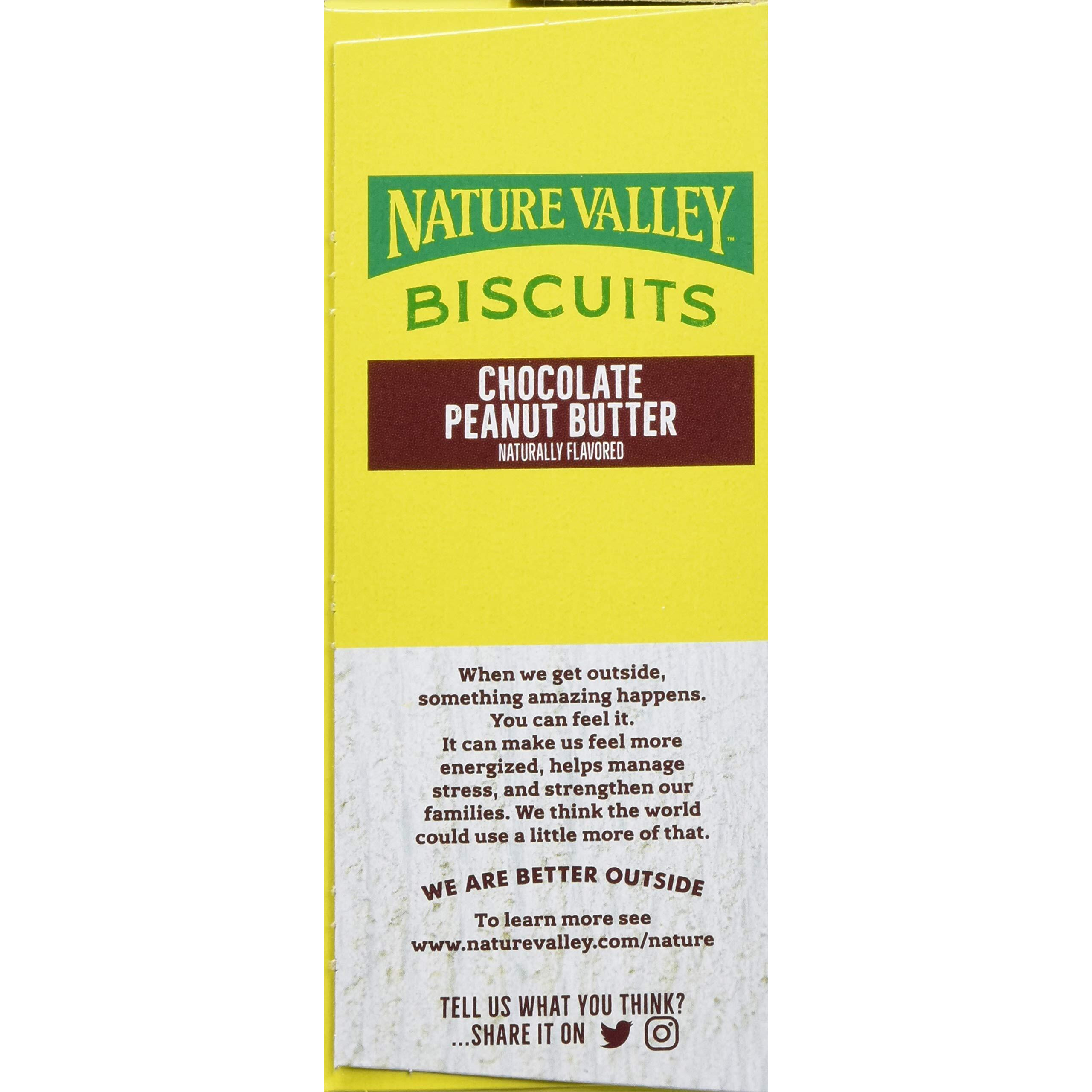 Nature Valley Biscuit Sandwiches, Chocolate Peanut Butter Value Pack, 10 Ct (Pack Of 6)