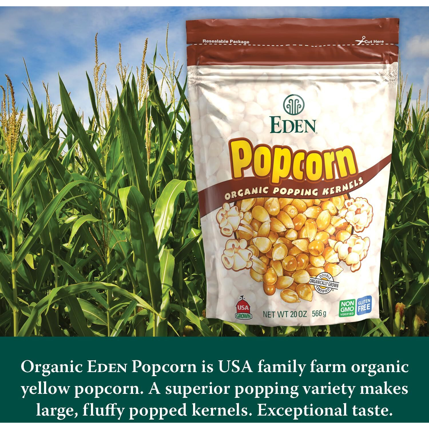 Eden Organic Yellow Popcorn Kernels, Non Gmo, Superior Popping Variety, 100% Whole Grain, 20 Oz (2-Pack)